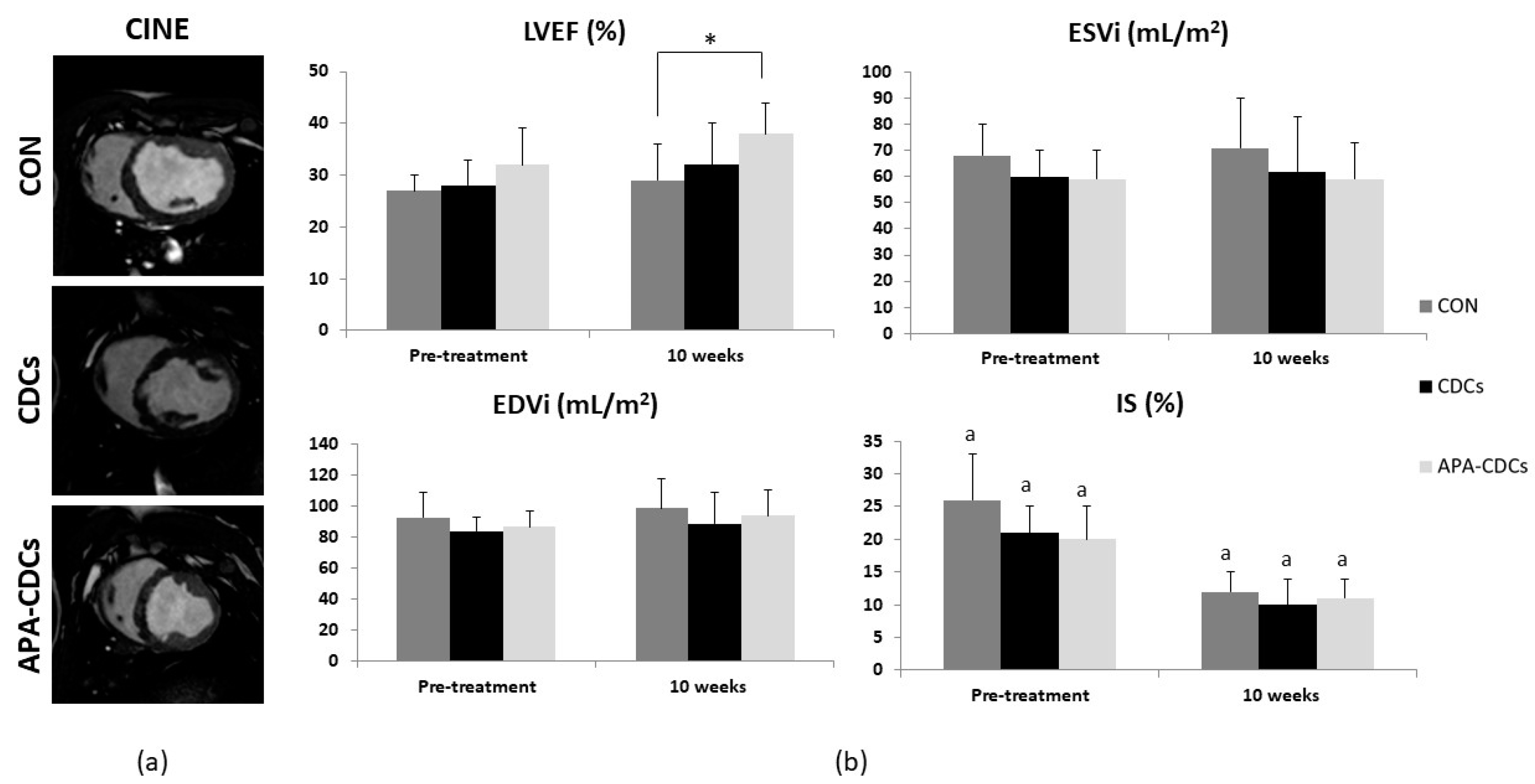 Pharmaceutics 13 01824 g003 Pharmaceutics 13 01824 g003