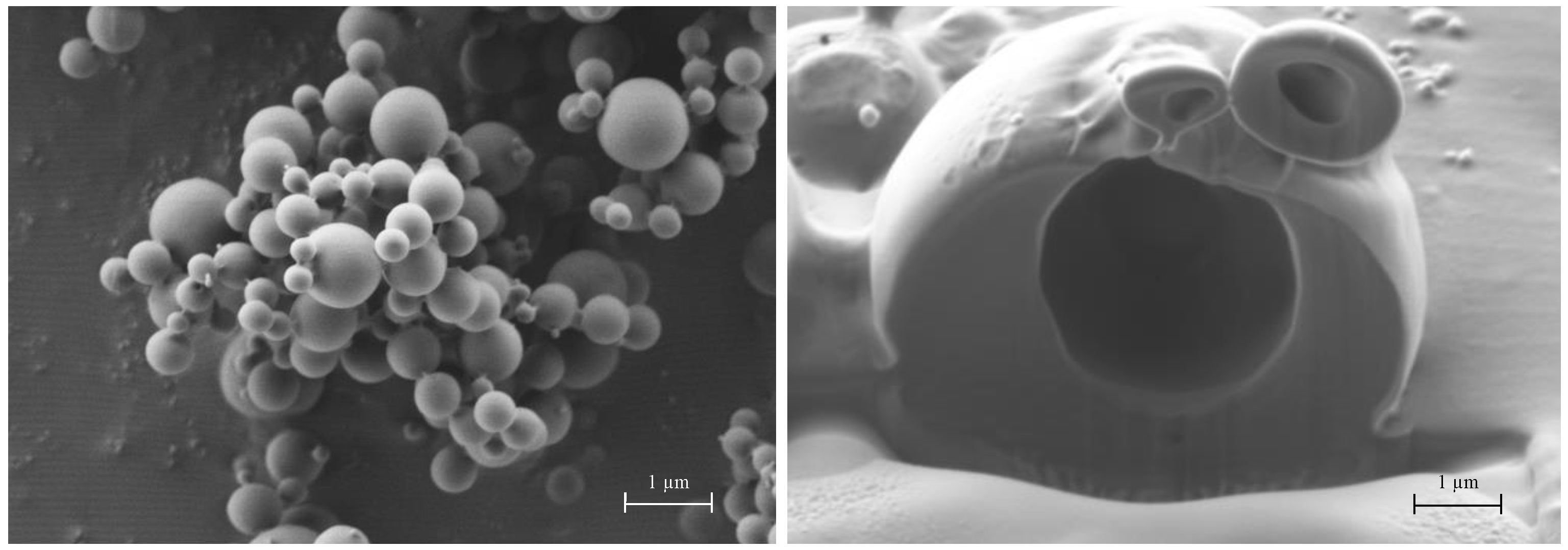 Pharmaceutics 13 01825 g006