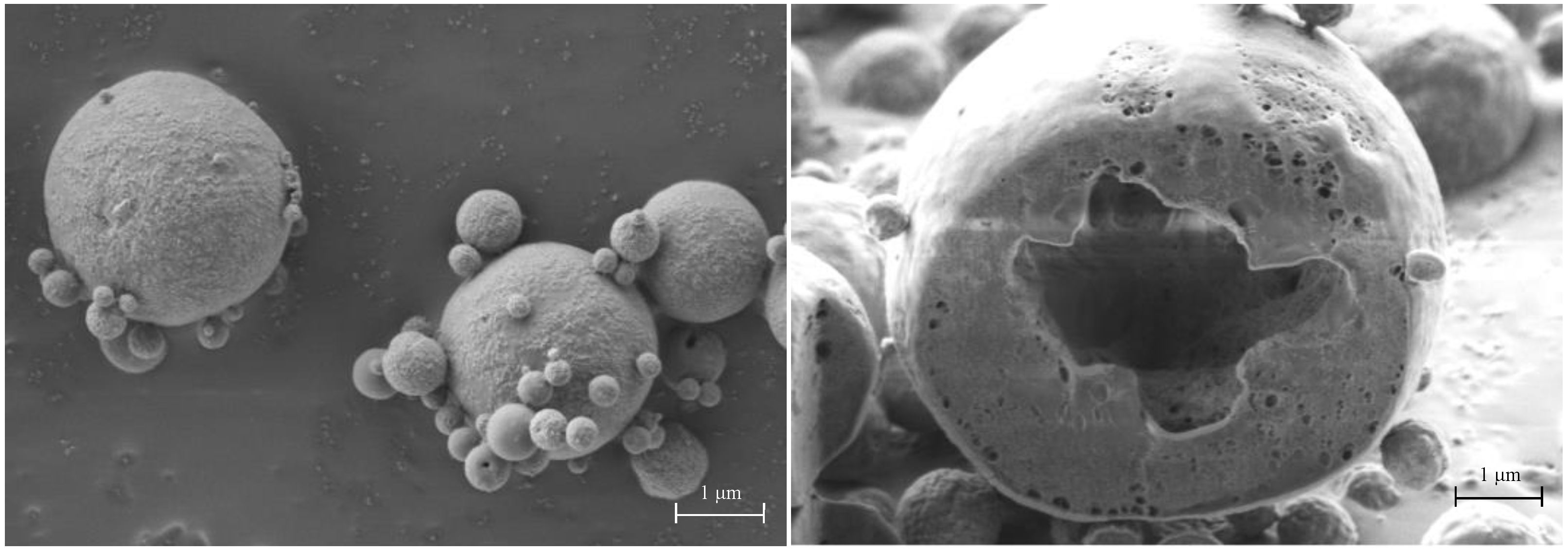 Pharmaceutics 13 01825 g007
