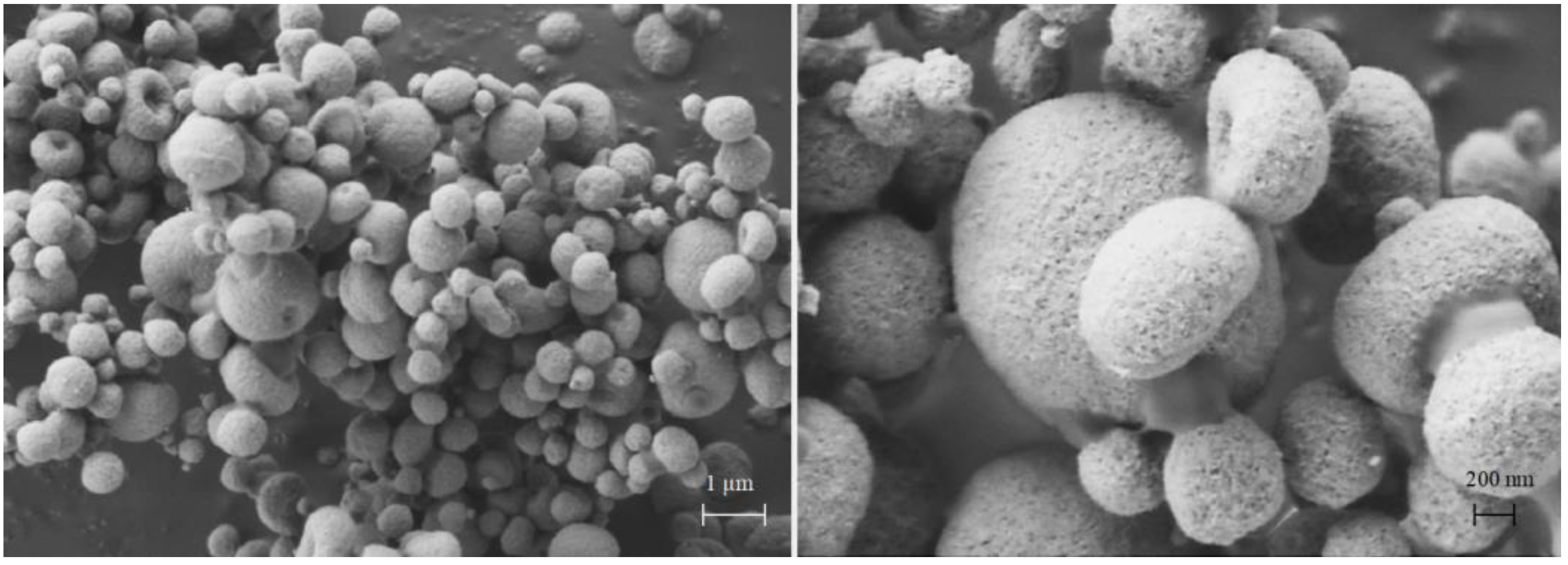 Pharmaceutics 13 01825 g010