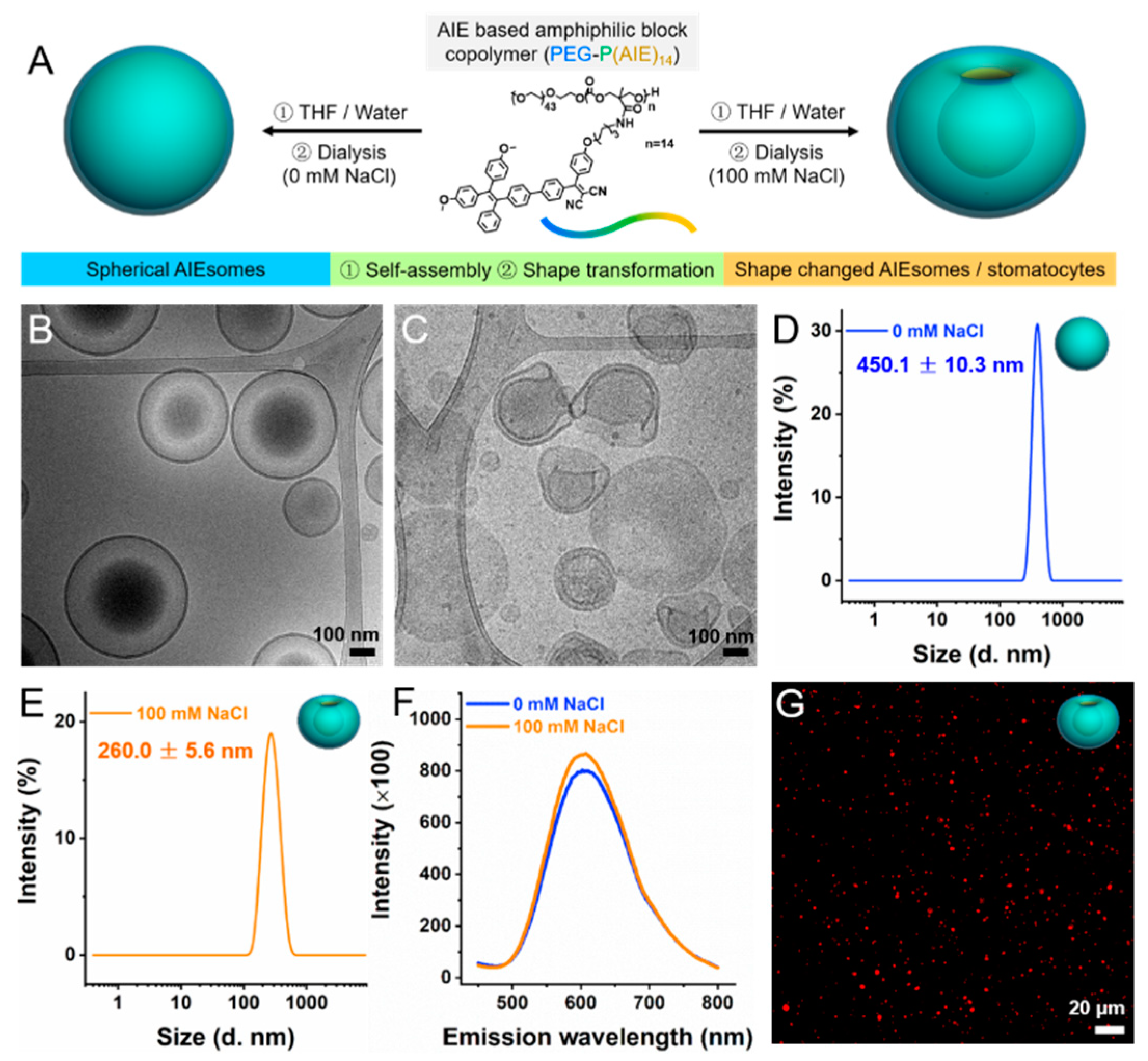 Pharmaceutics 13 01833 g001