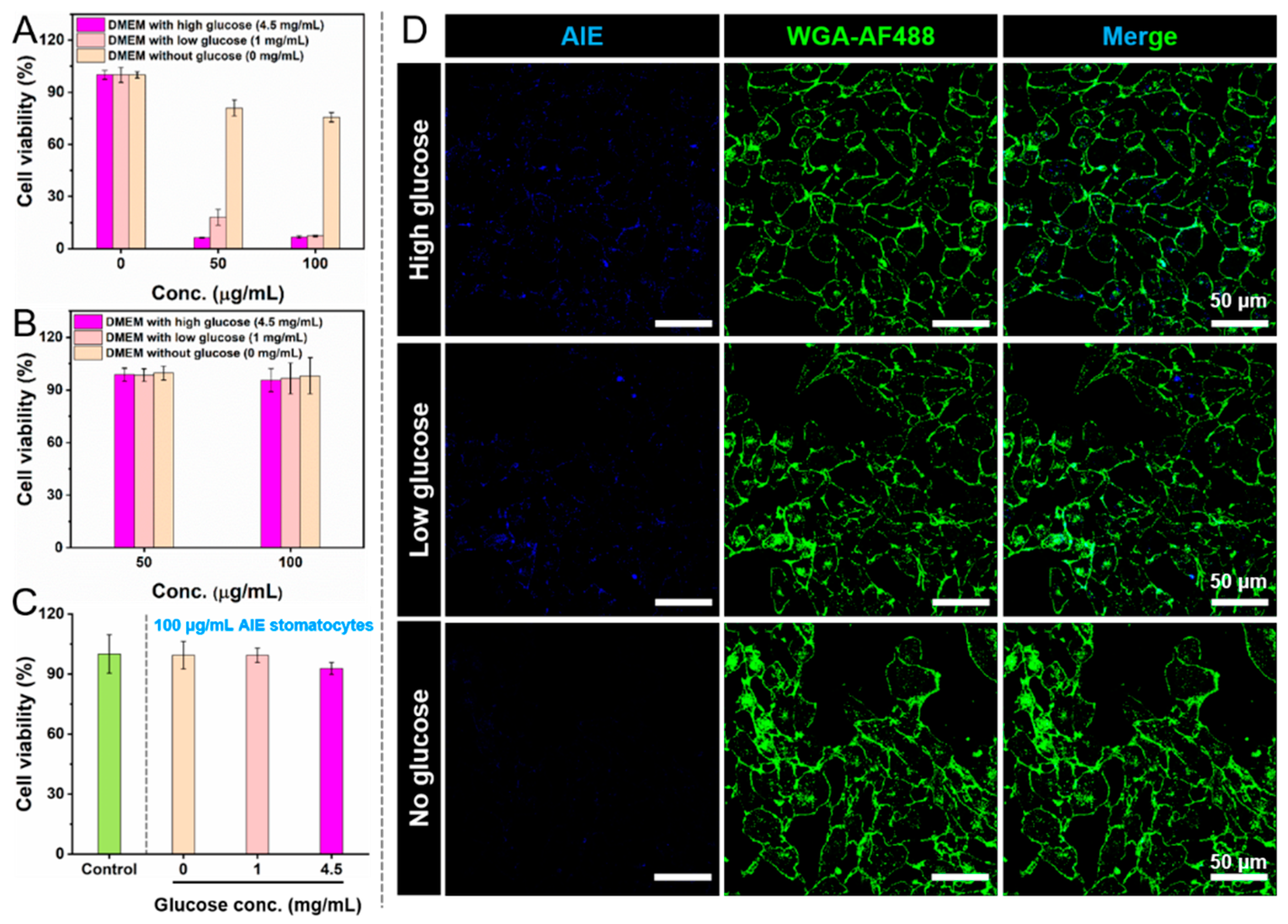 Pharmaceutics 13 01833 g005