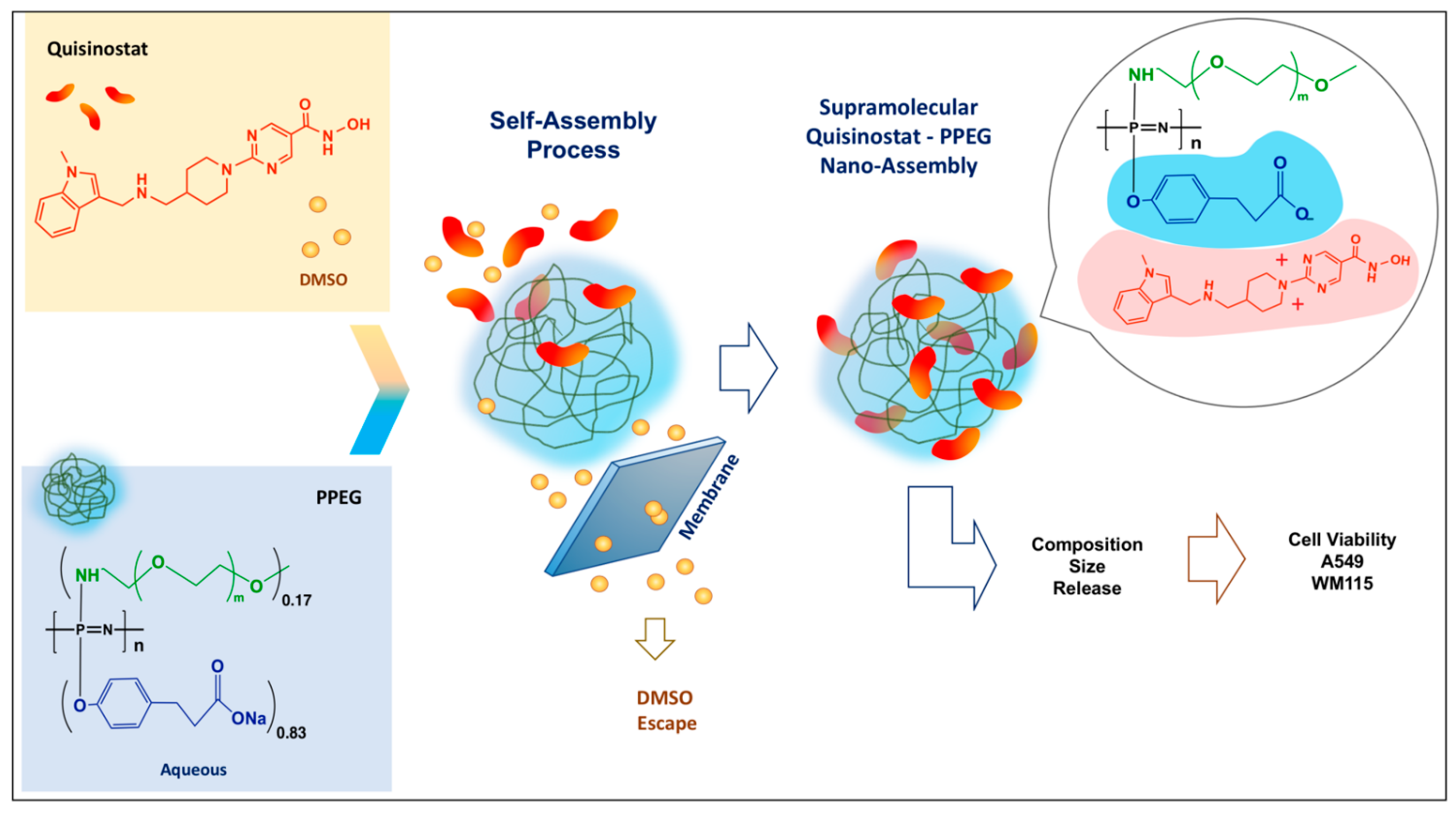 Pharmaceutics 13 01834 g001