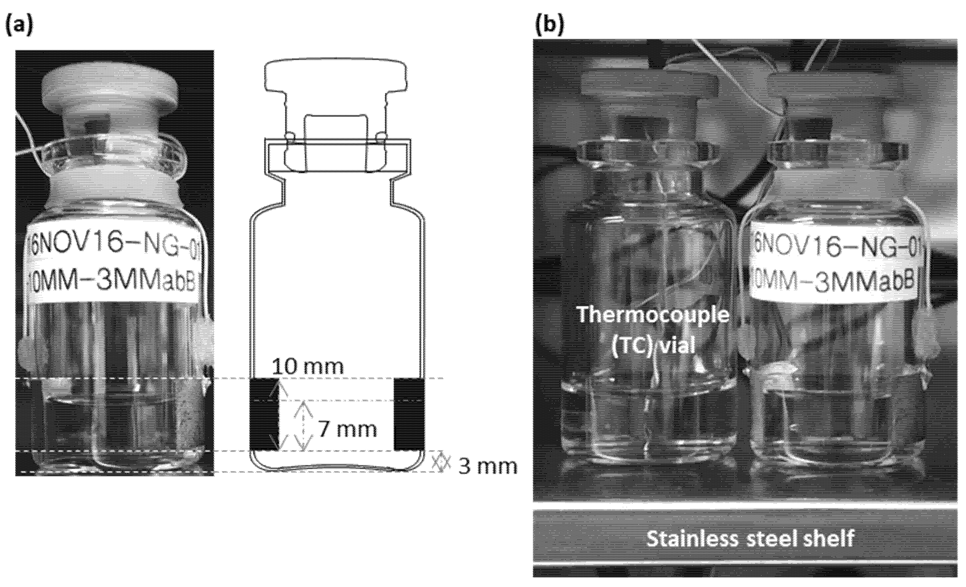 Pharmaceutics 13 01835 g001 Pharmaceutics 13 01835 g001
