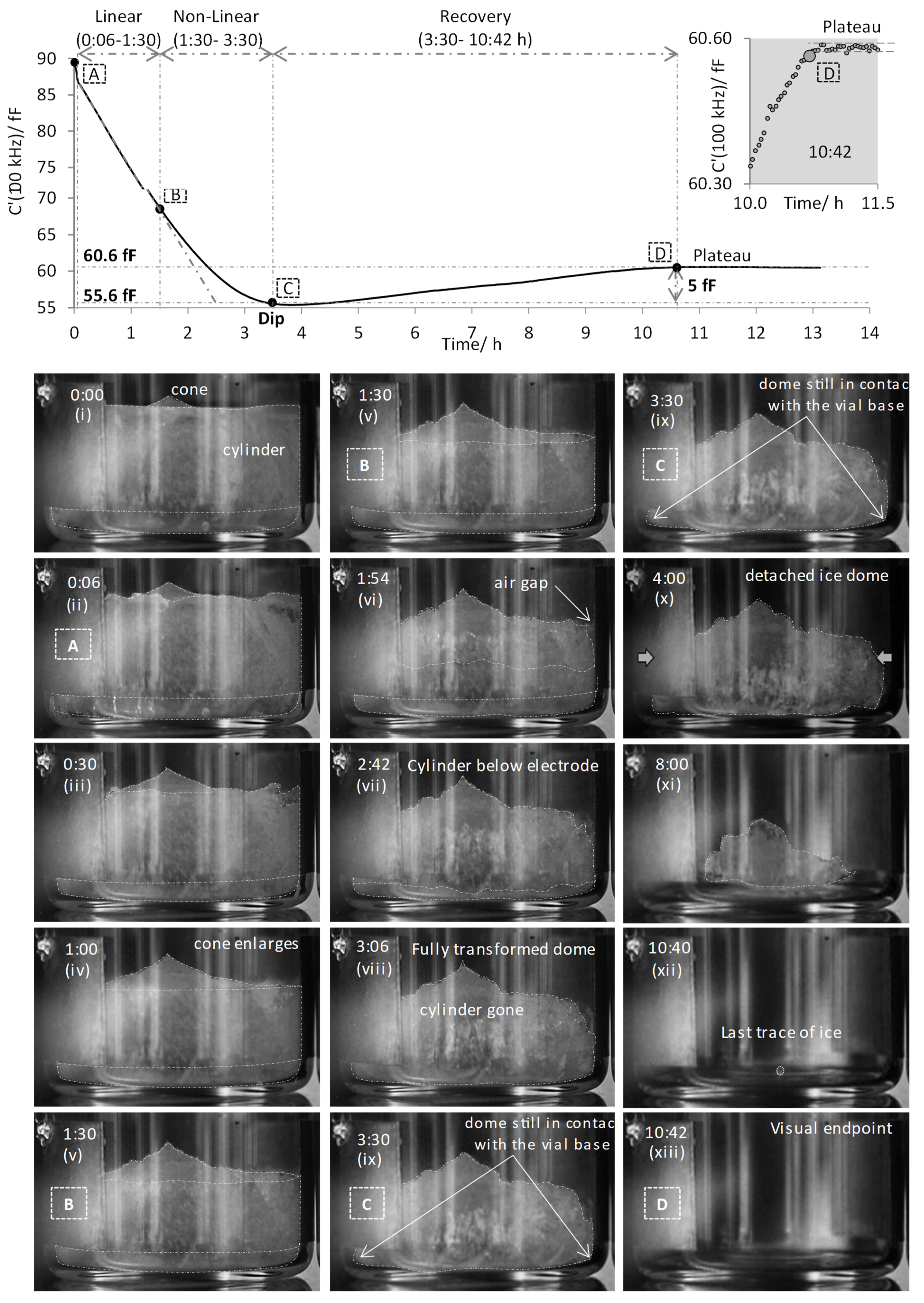Pharmaceutics 13 01835 g004 Pharmaceutics 13 01835 g004