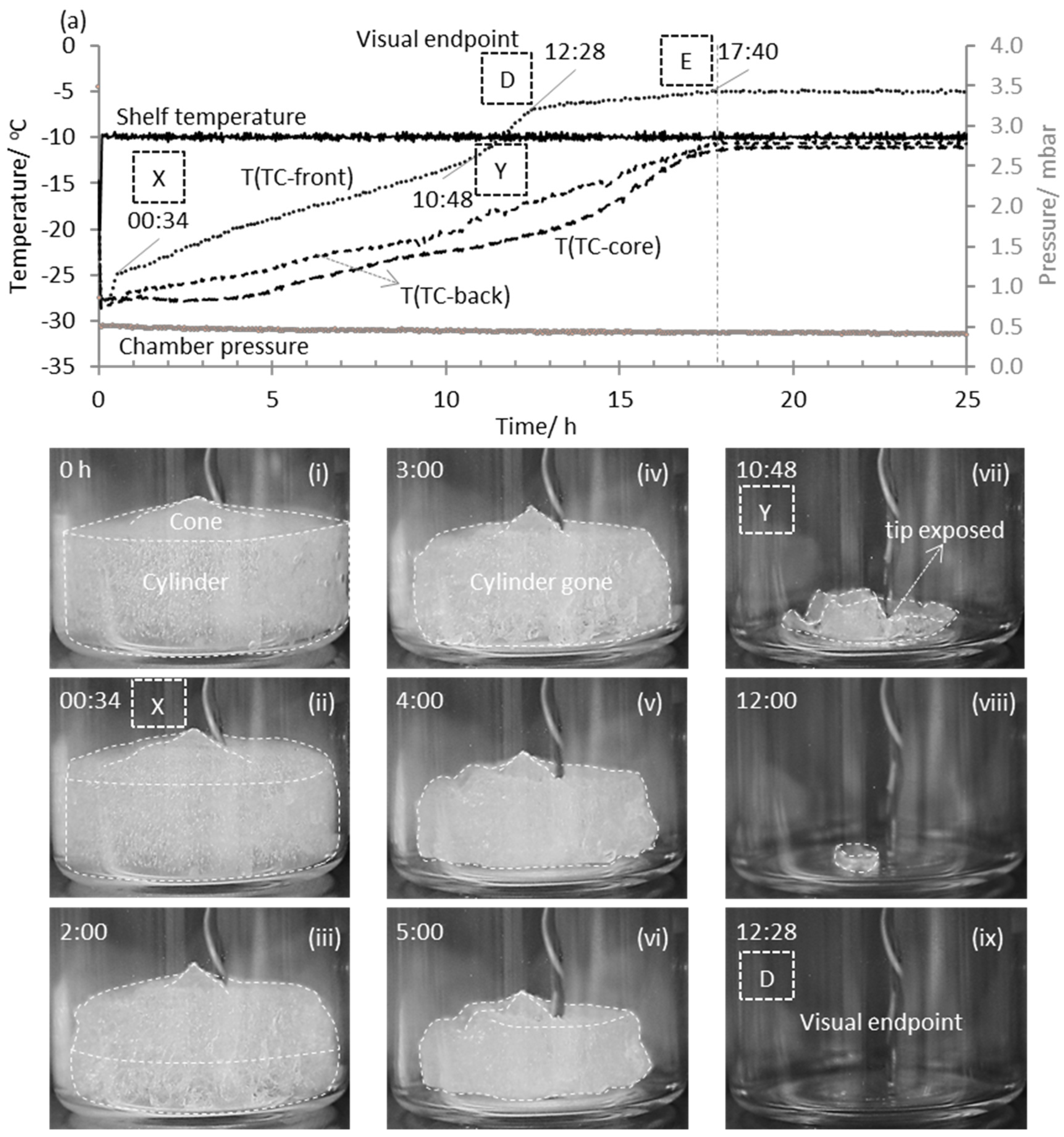 Pharmaceutics 13 01835 g005 Pharmaceutics 13 01835 g005