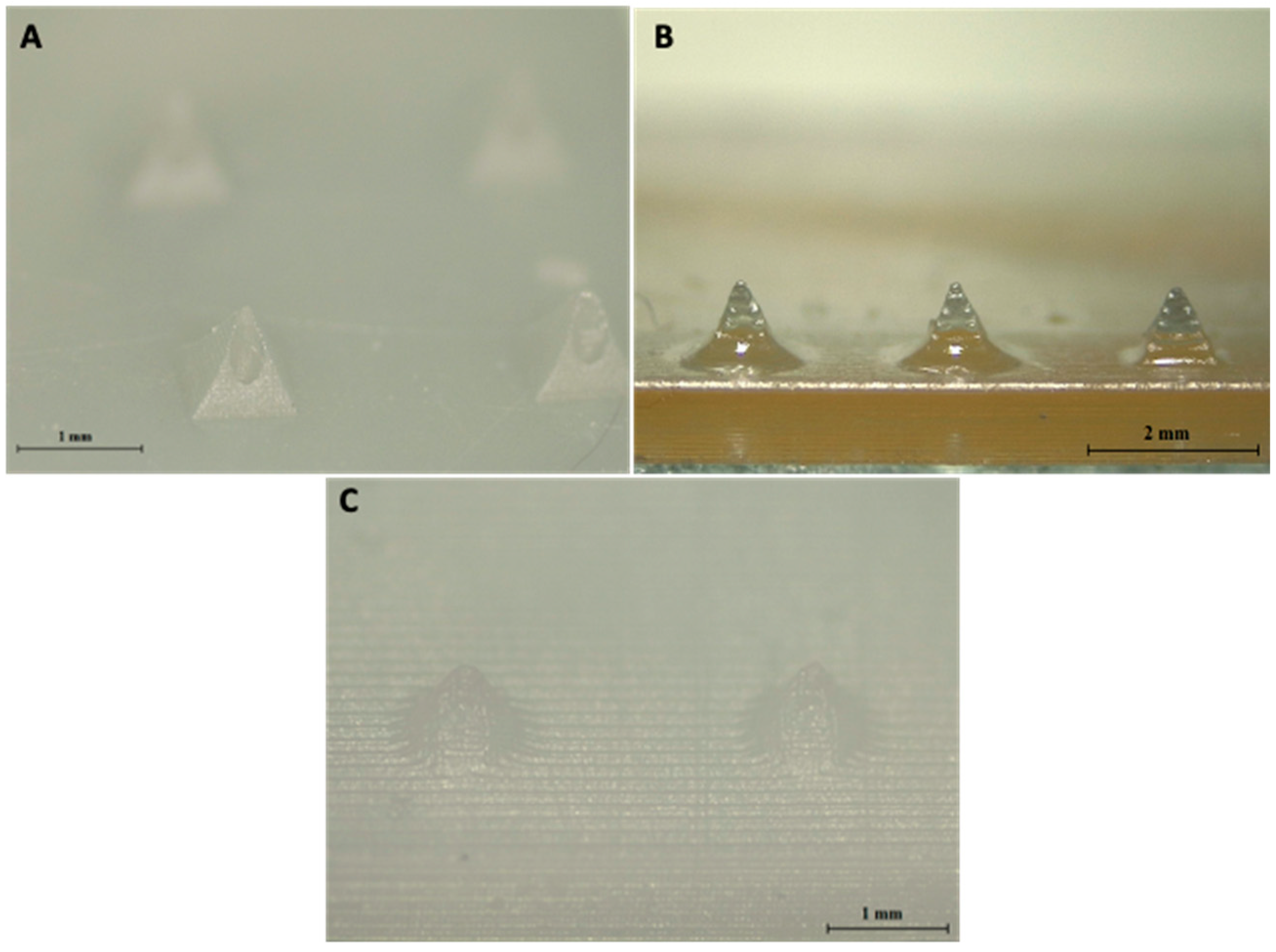 Pharmaceutics 13 01837 g003