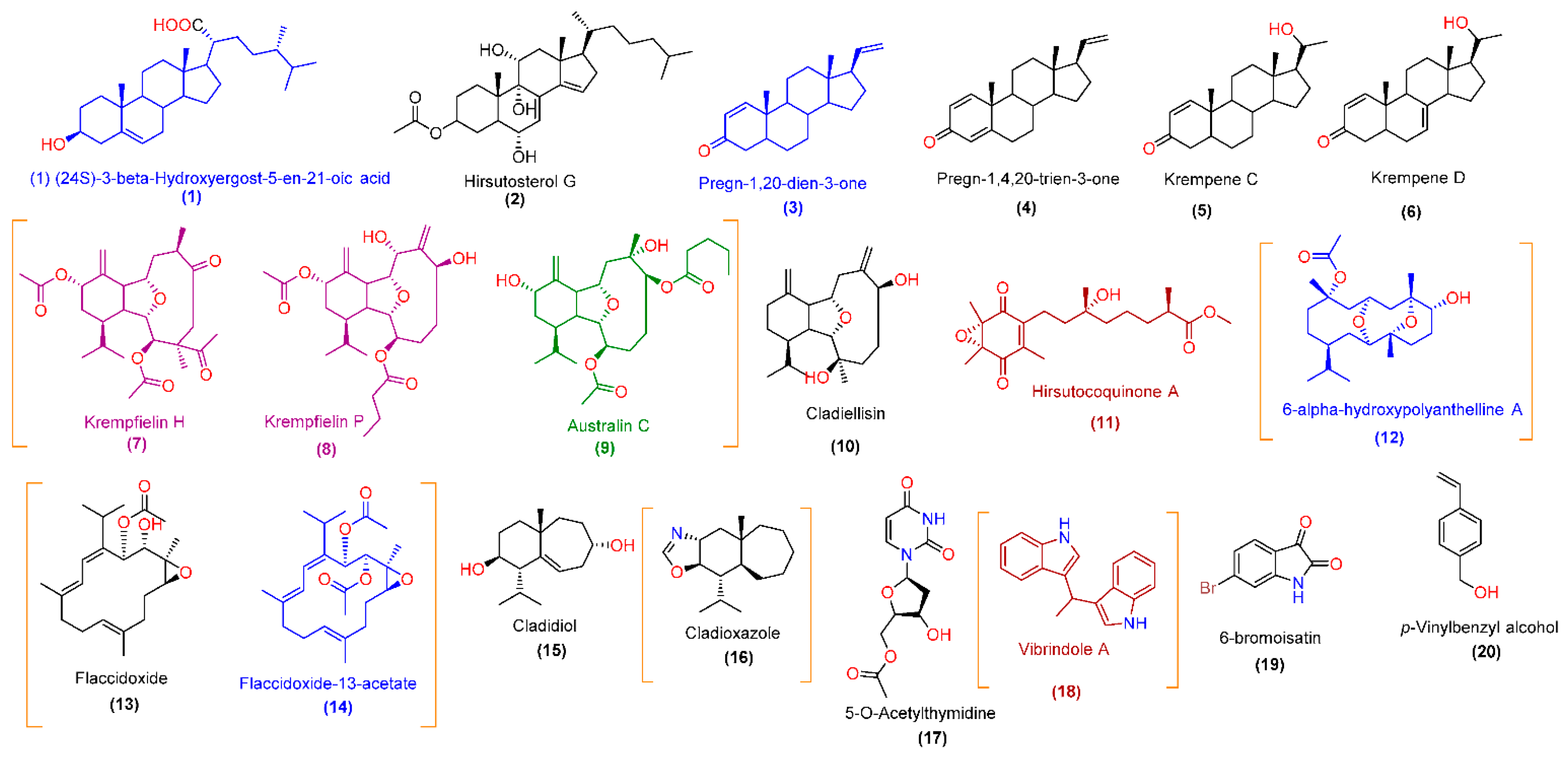 Pharmaceutics 13 01846 g005 Pharmaceutics 13 01846 g005