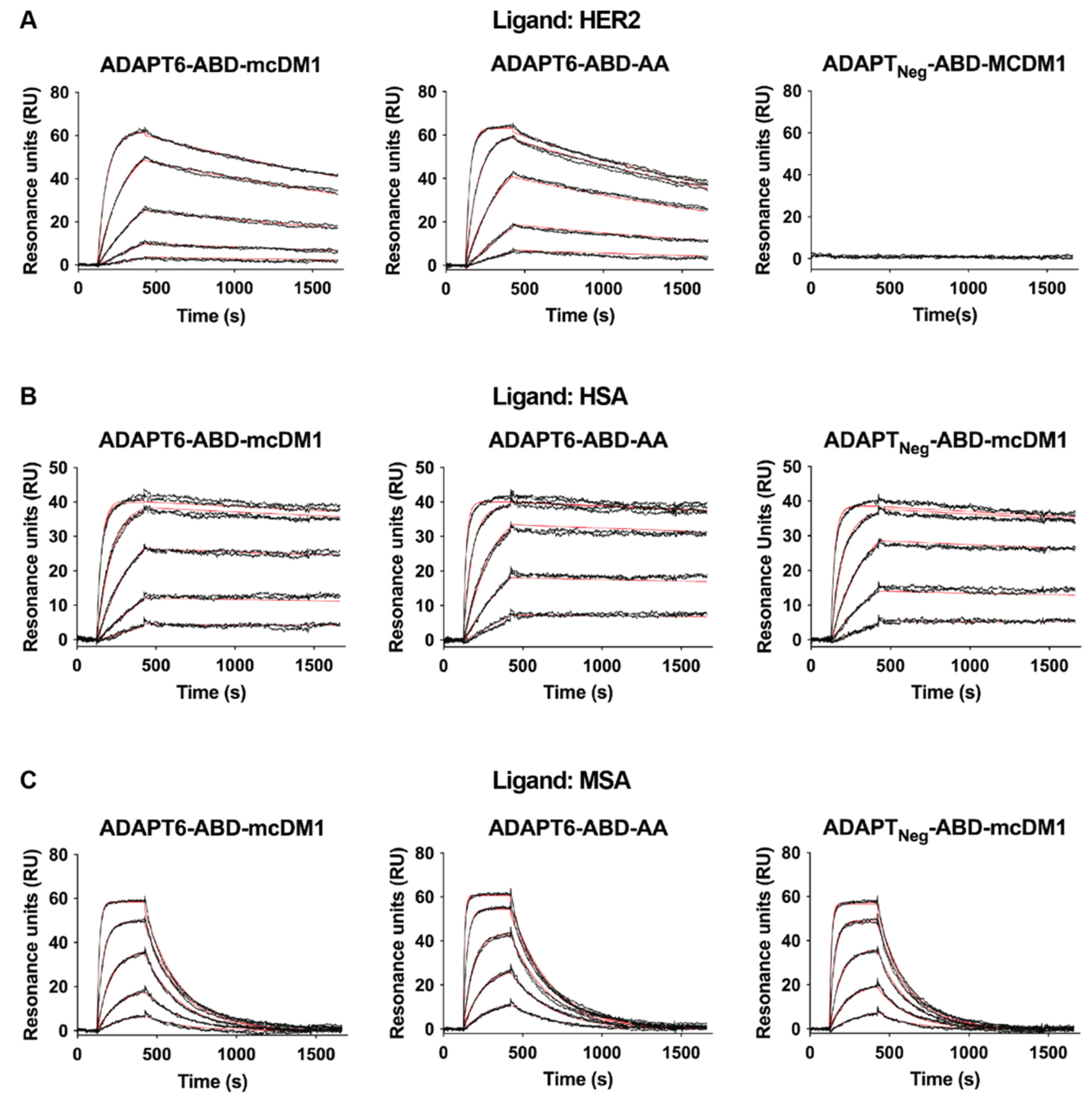 Pharmaceutics 13 01847 g002