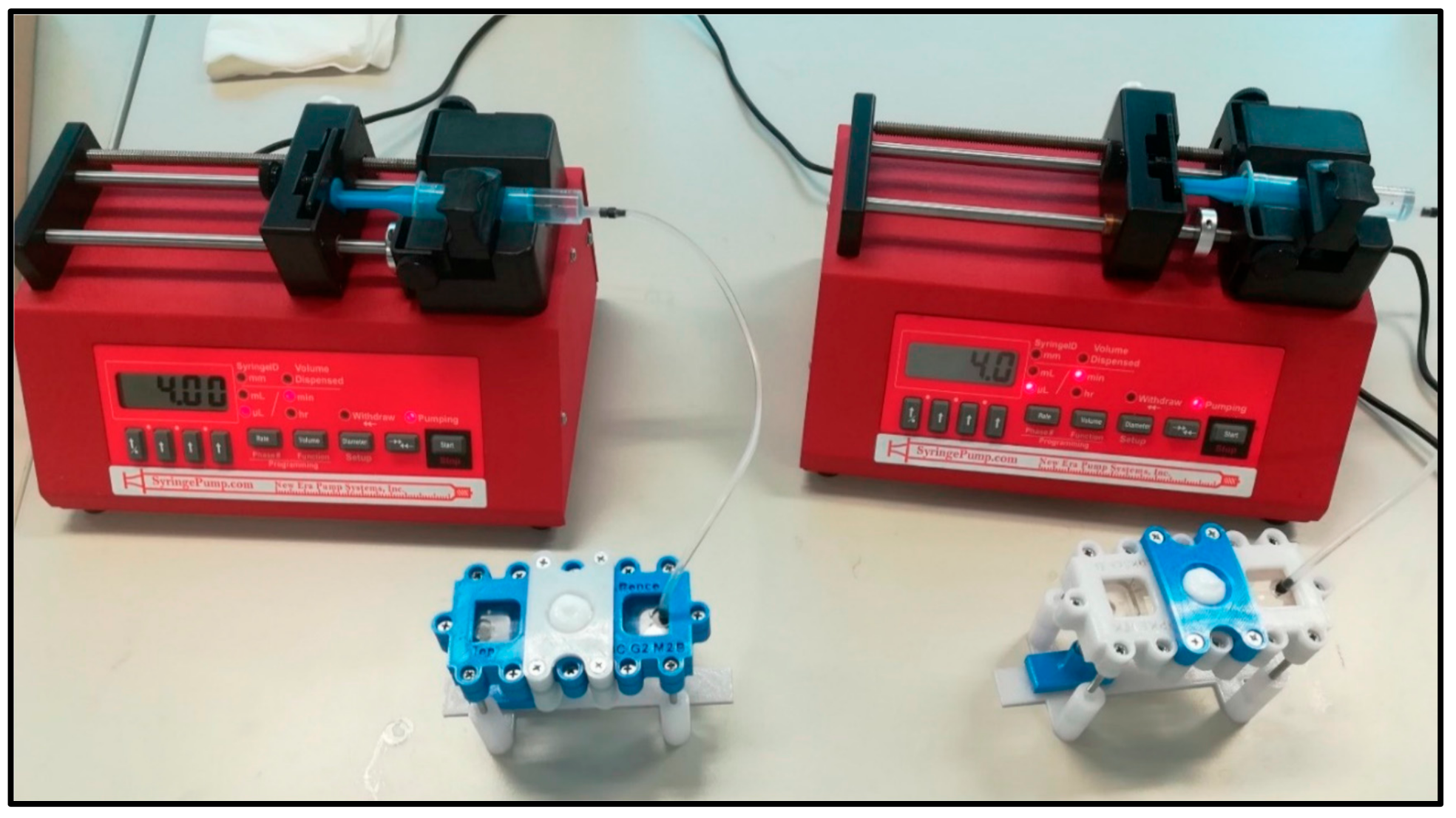 Pharmaceutics 13 01852 g003