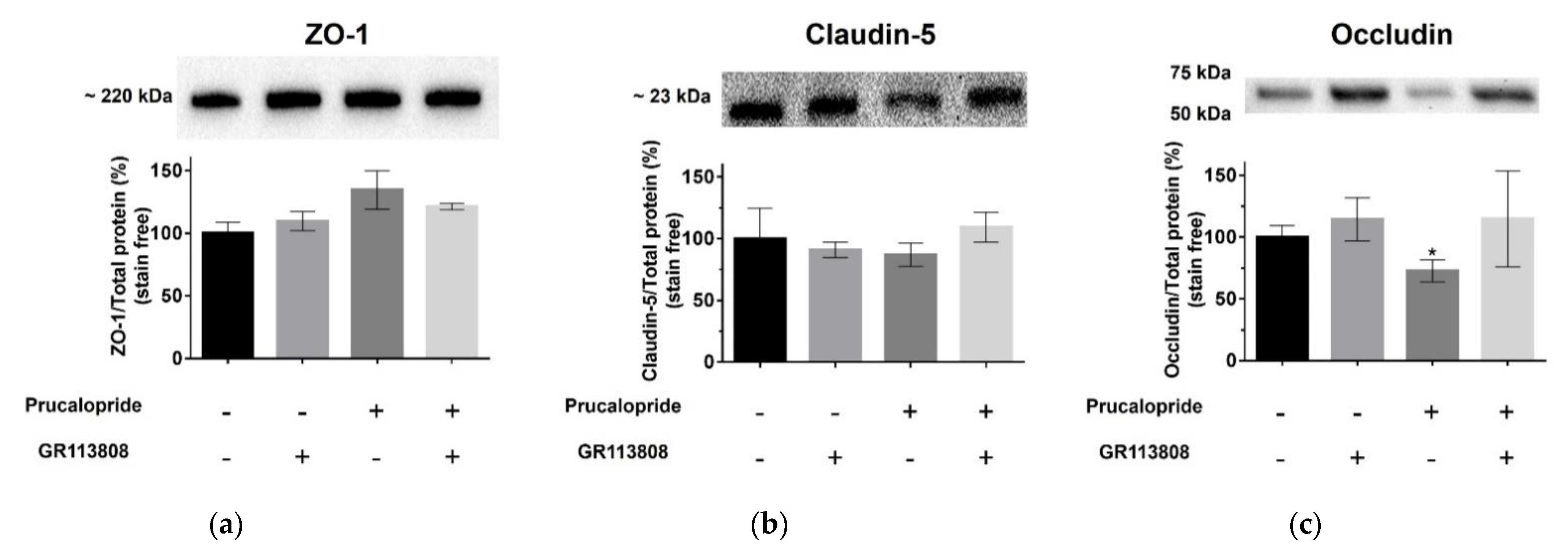 Pharmaceutics 13 01856 g006