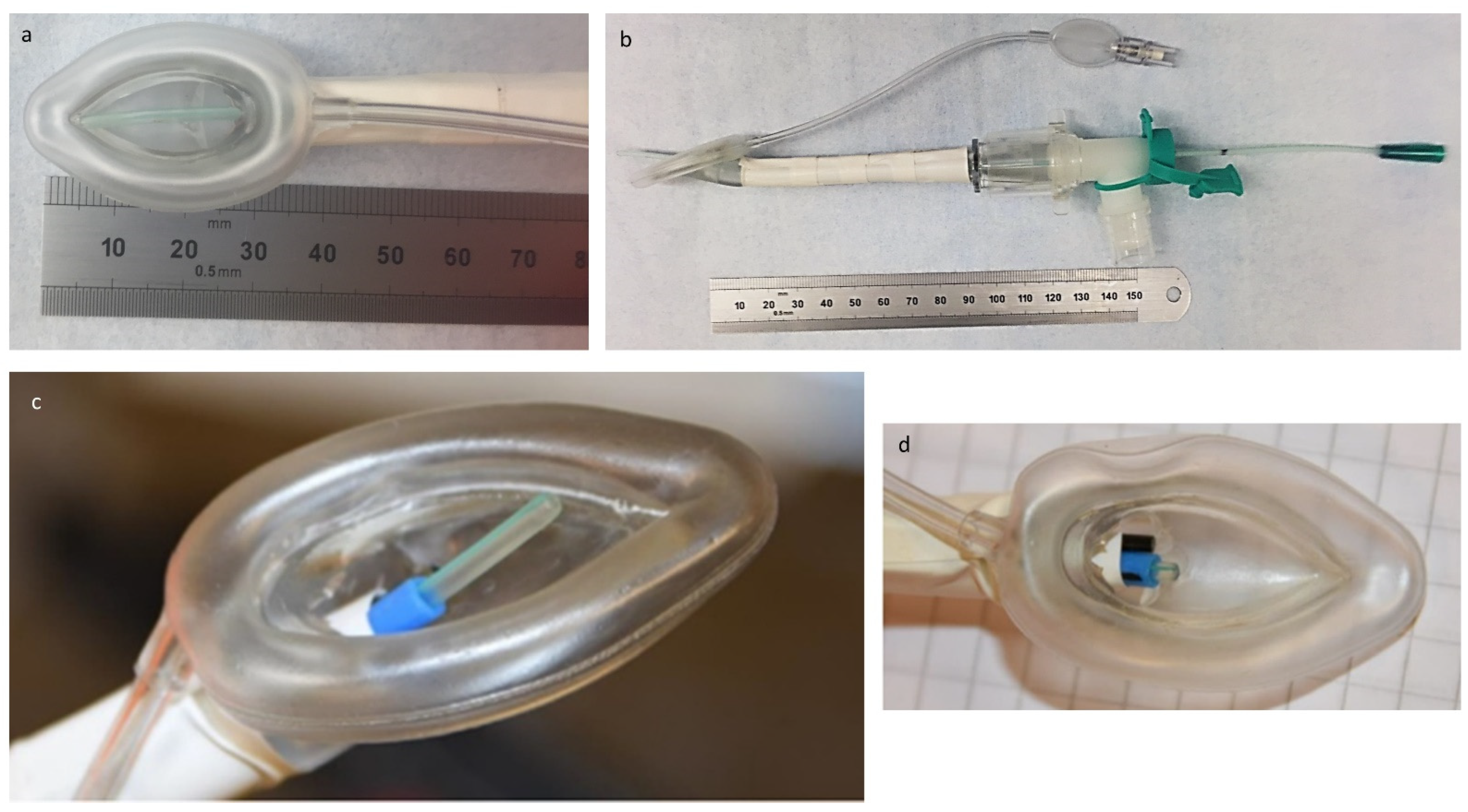 Pharmaceutics 13 01858 g001