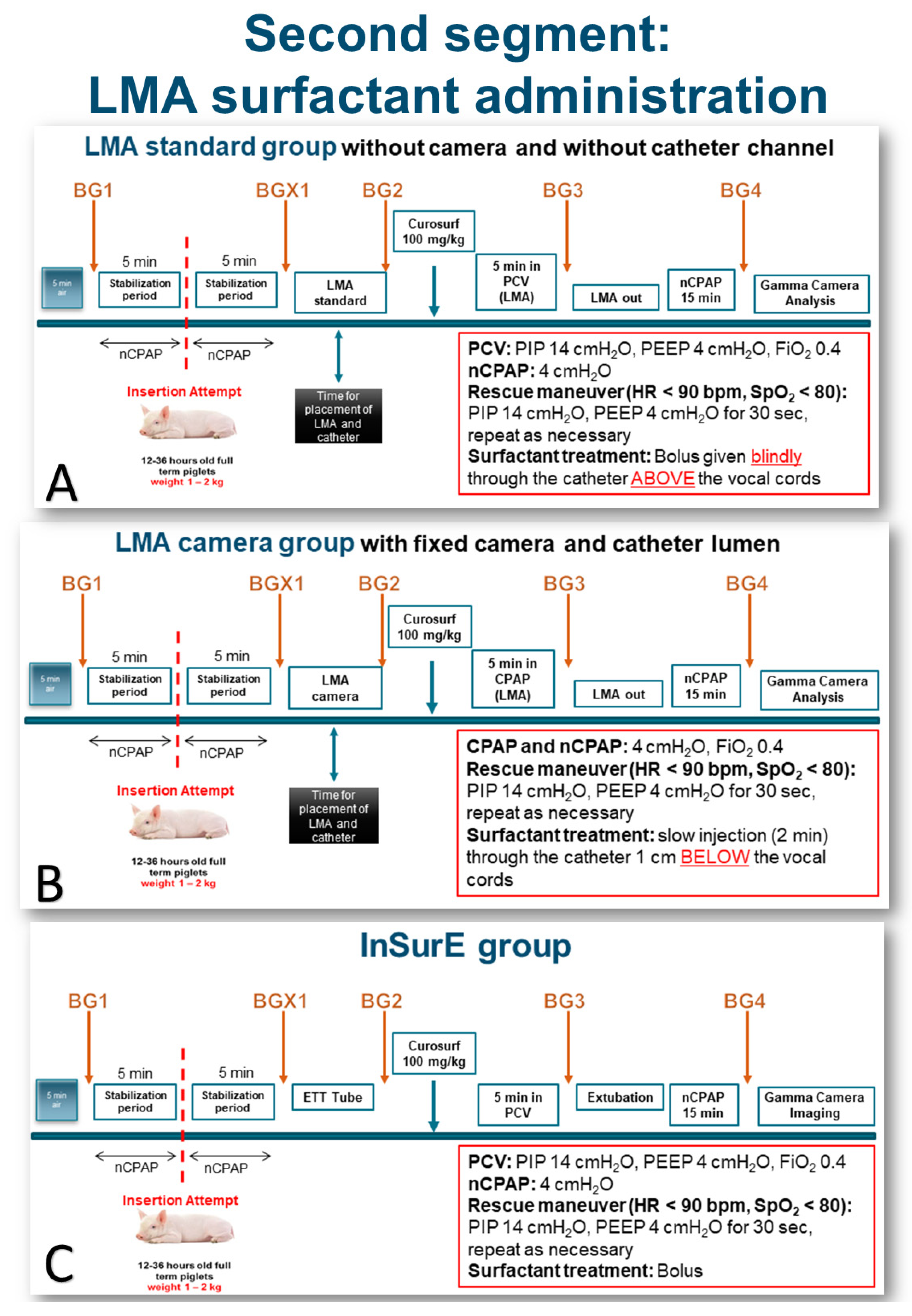 Pharmaceutics 13 01858 g003