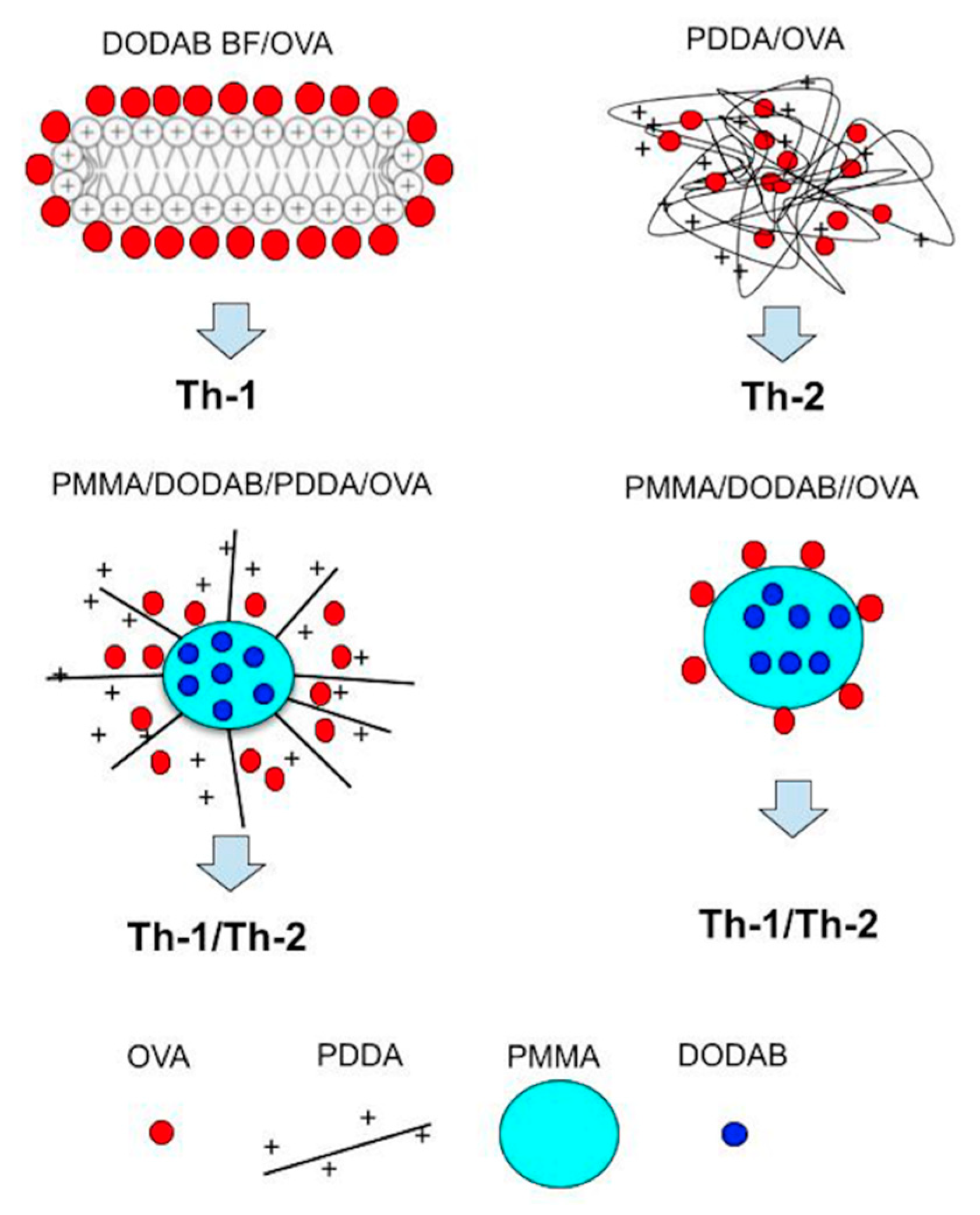 Pharmaceutics 13 01859 g008