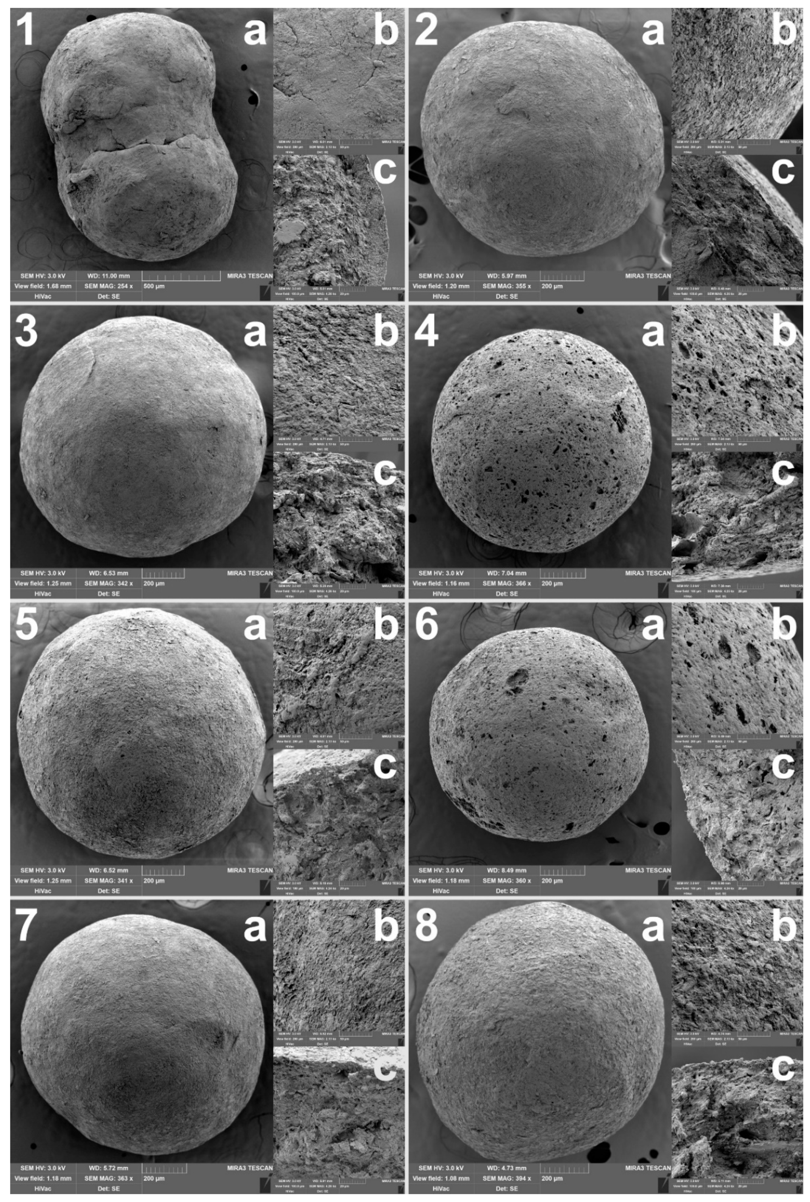 Pharmaceutics 13 01860 g002