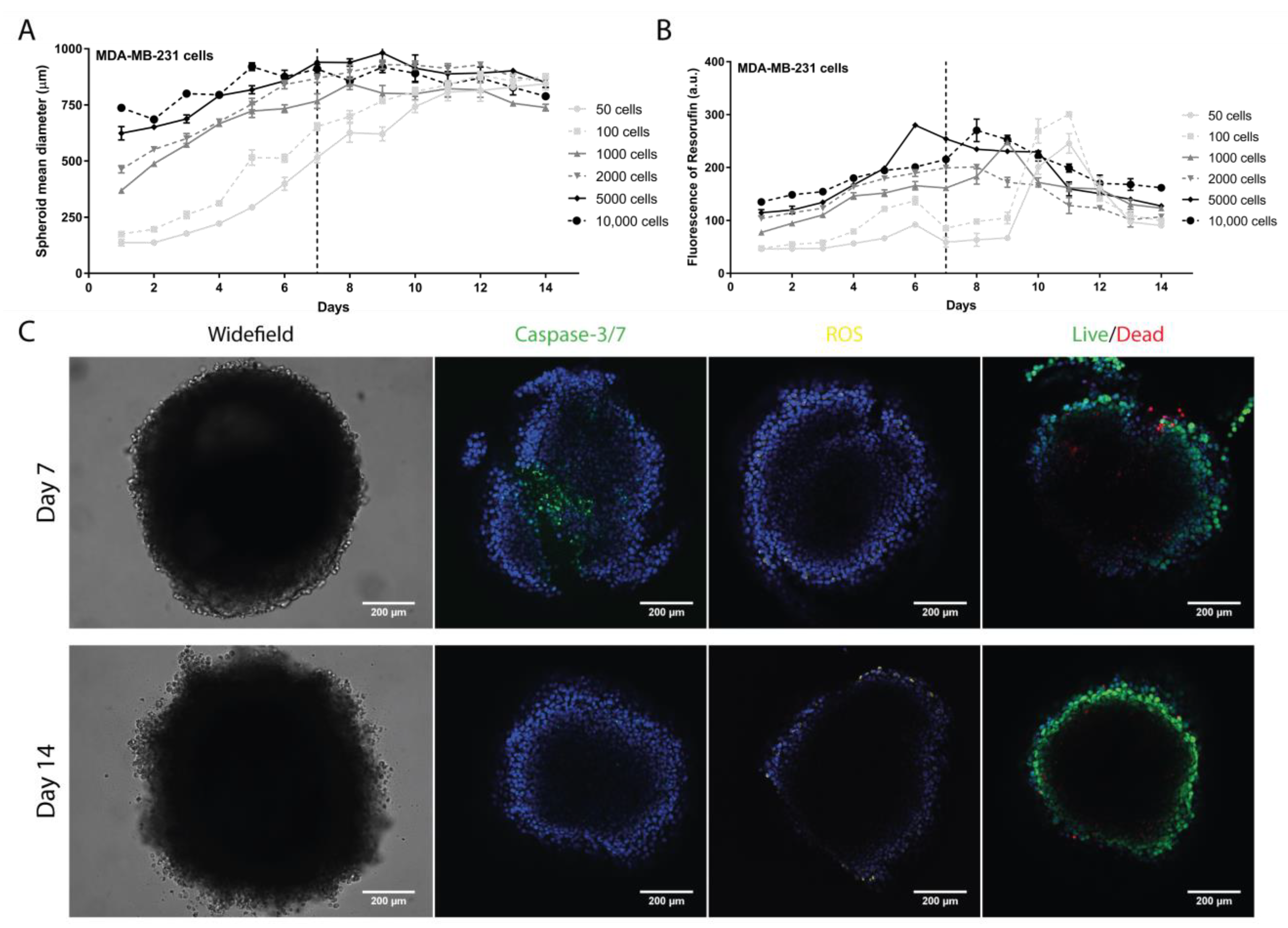 Pharmaceutics 13 01863 g001