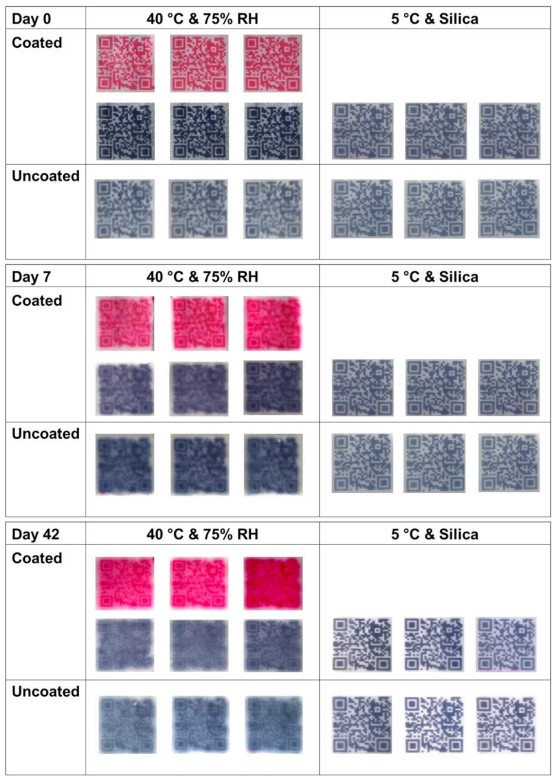 Pharmaceutics 13 01866 g005