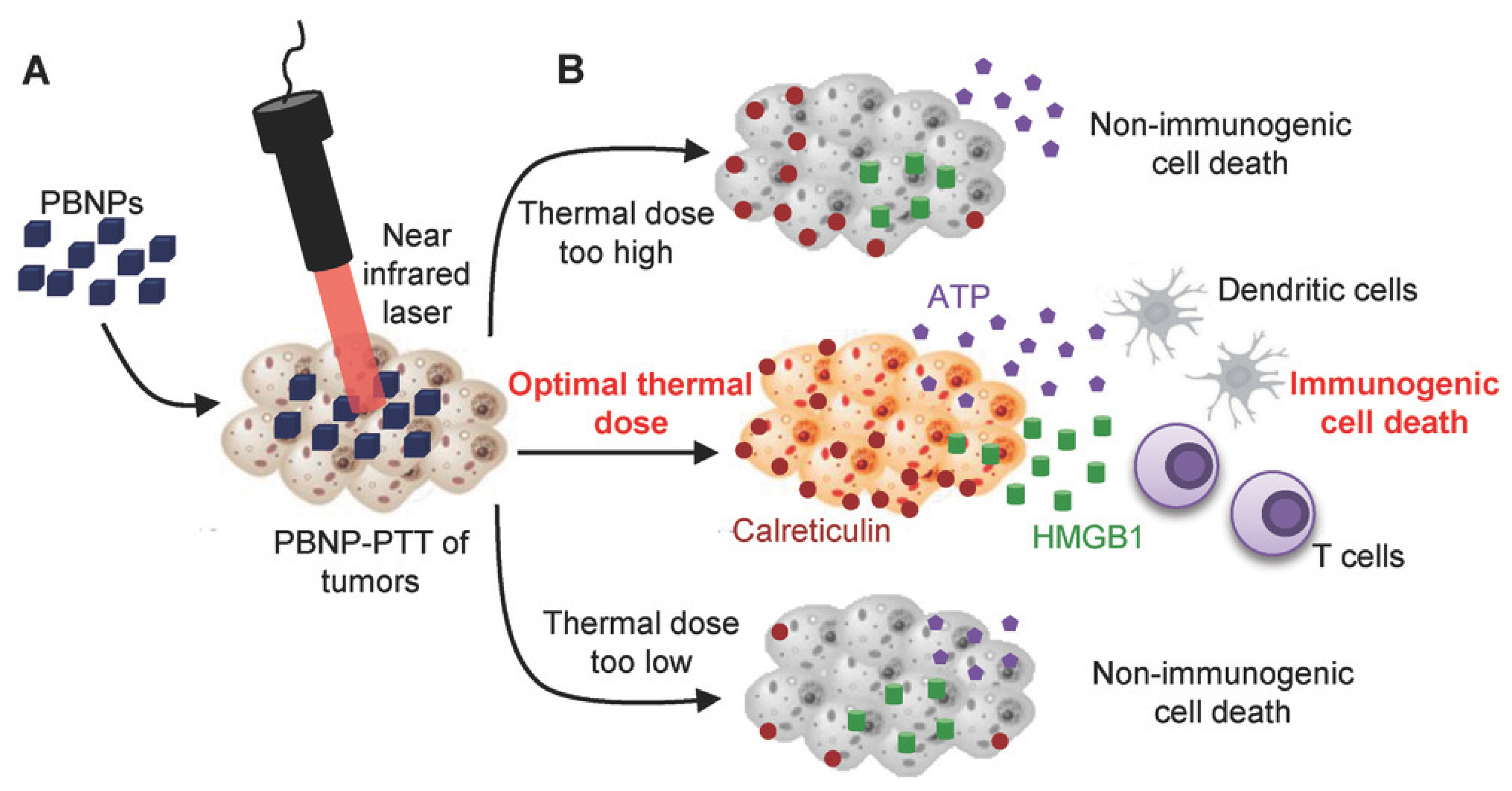 Pharmaceutics 13 01867 g005 Pharmaceutics 13 01867 g005