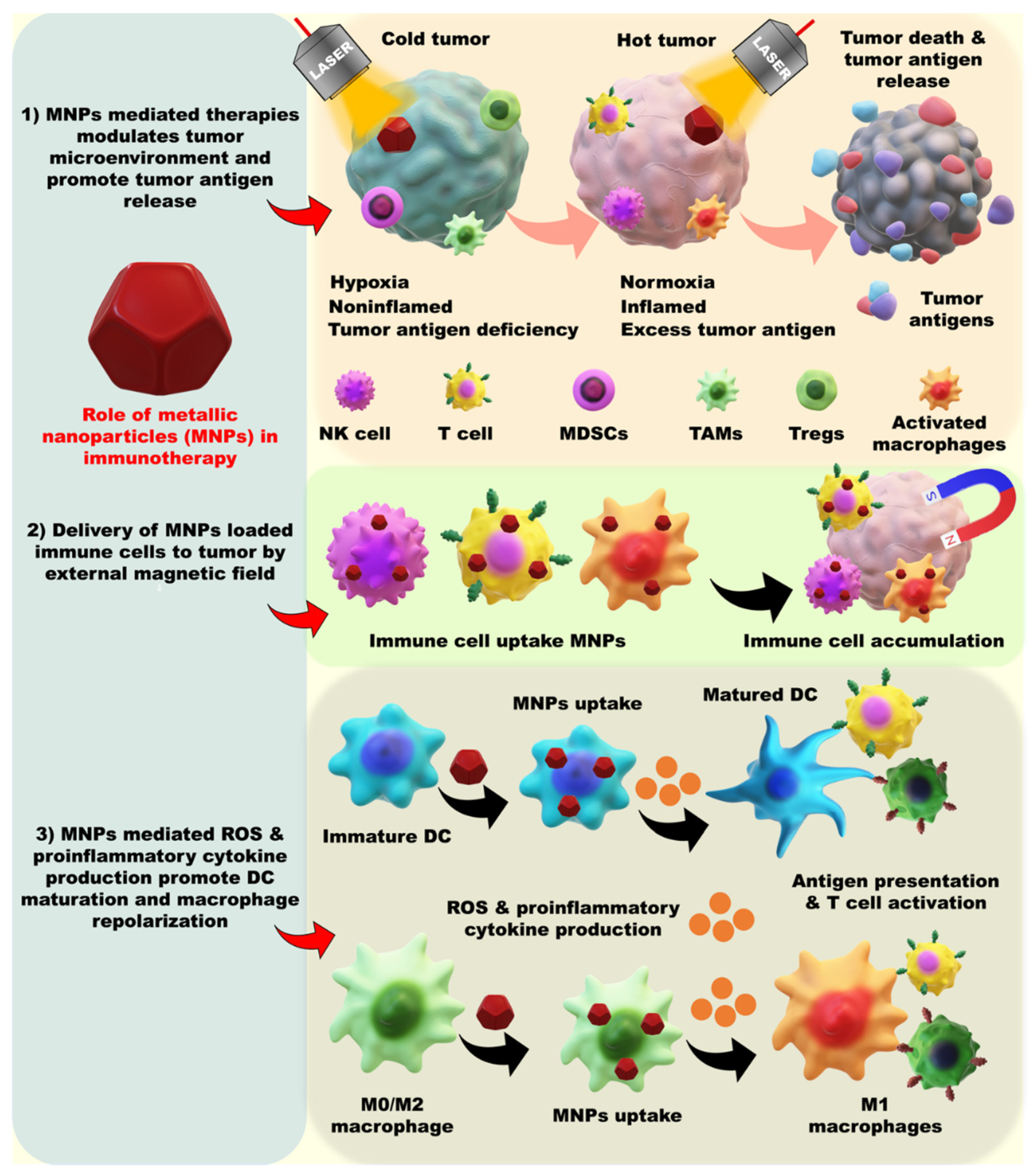 Pharmaceutics 13 01867 g006 Pharmaceutics 13 01867 g006