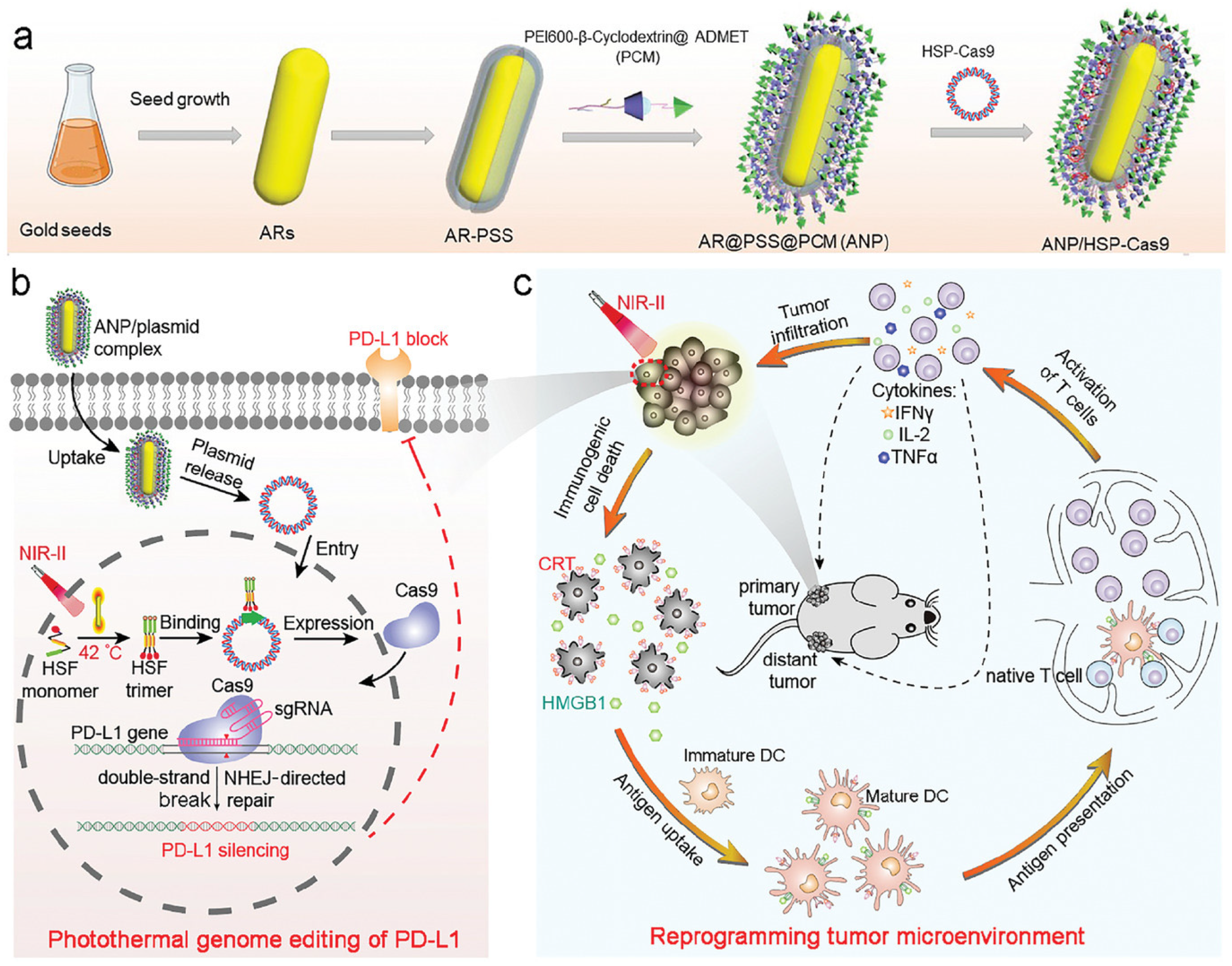 Pharmaceutics 13 01867 g008 Pharmaceutics 13 01867 g008