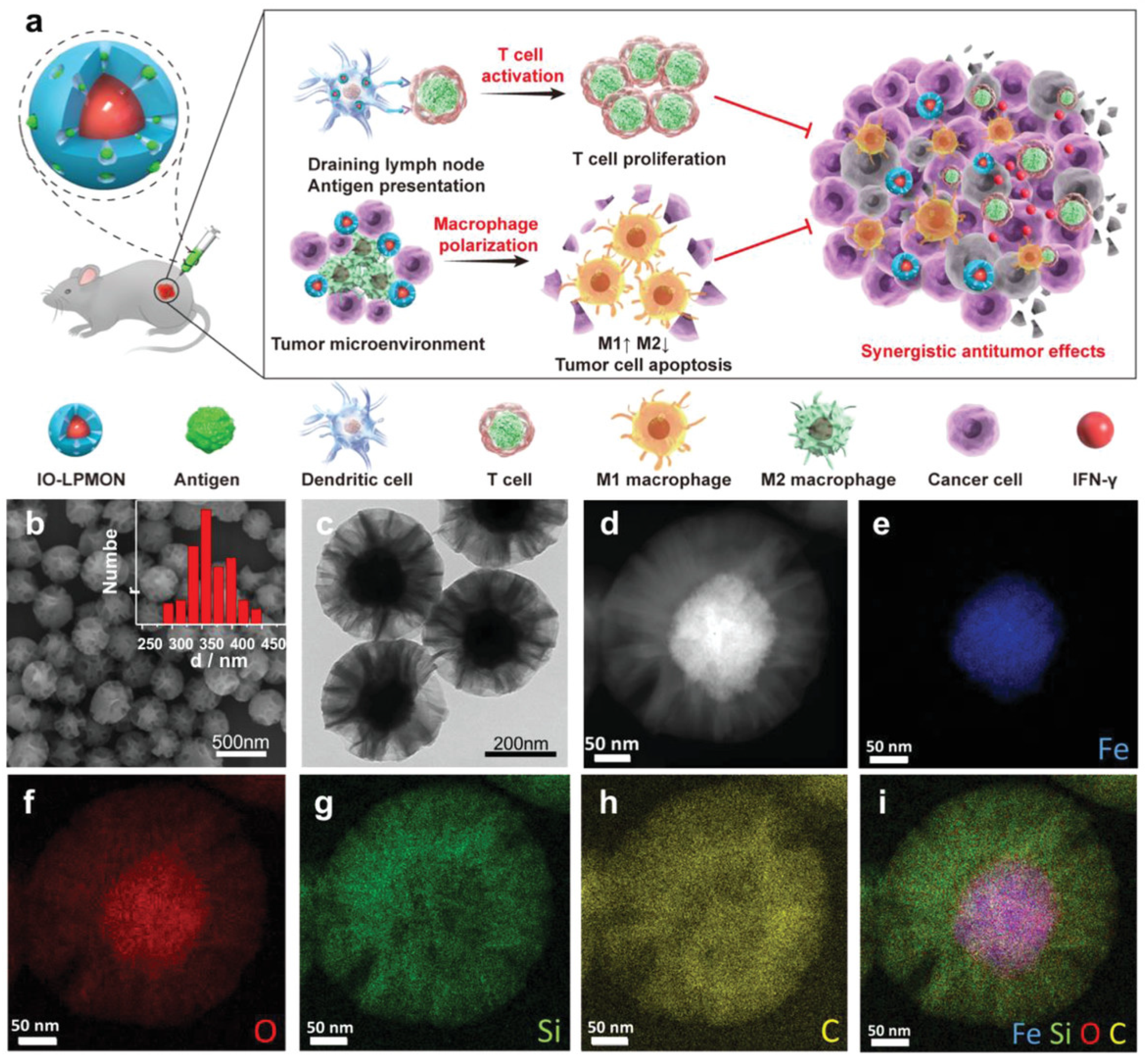 Pharmaceutics 13 01867 g009 Pharmaceutics 13 01867 g009