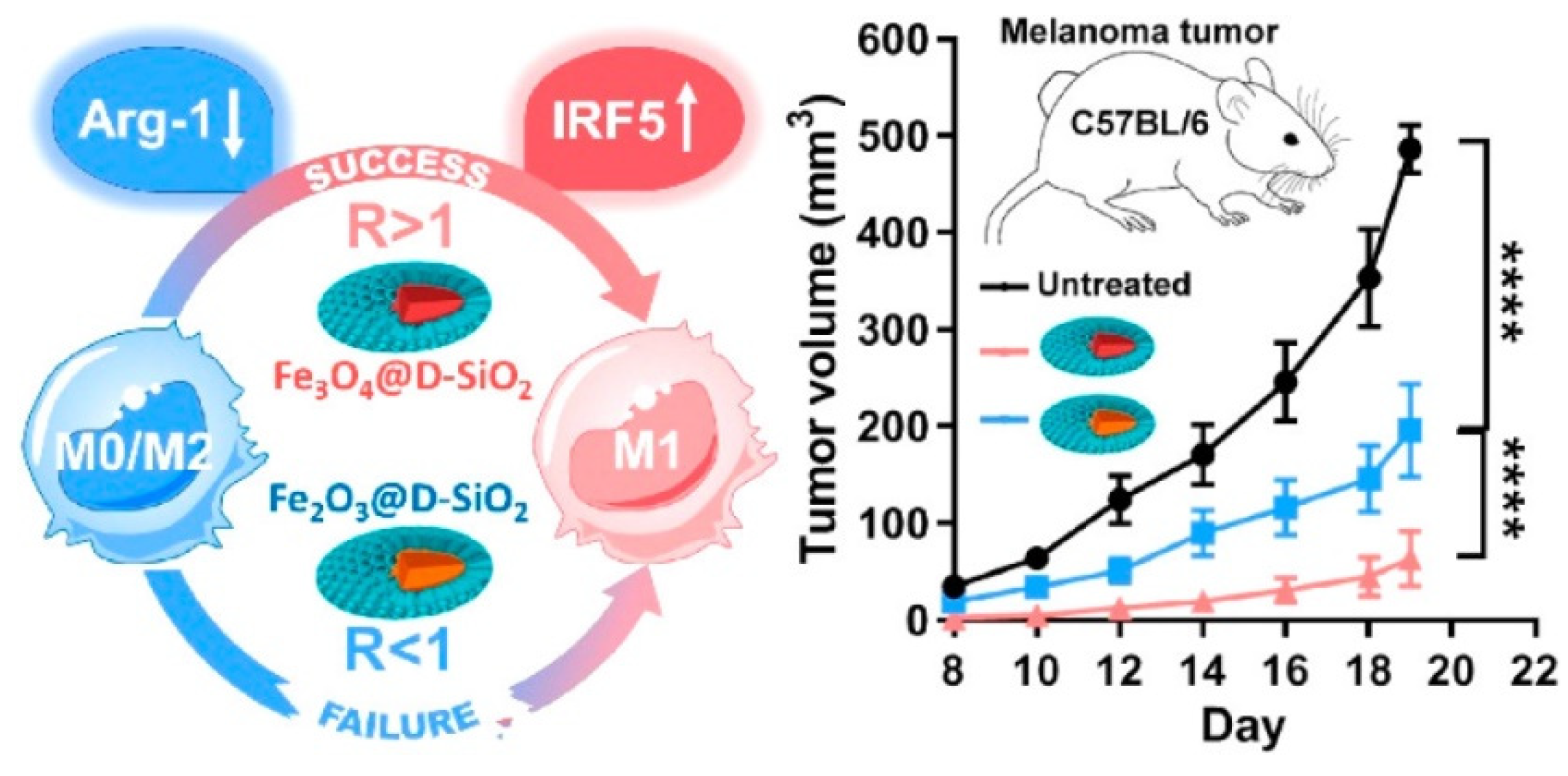 Pharmaceutics 13 01867 g010 Pharmaceutics 13 01867 g010