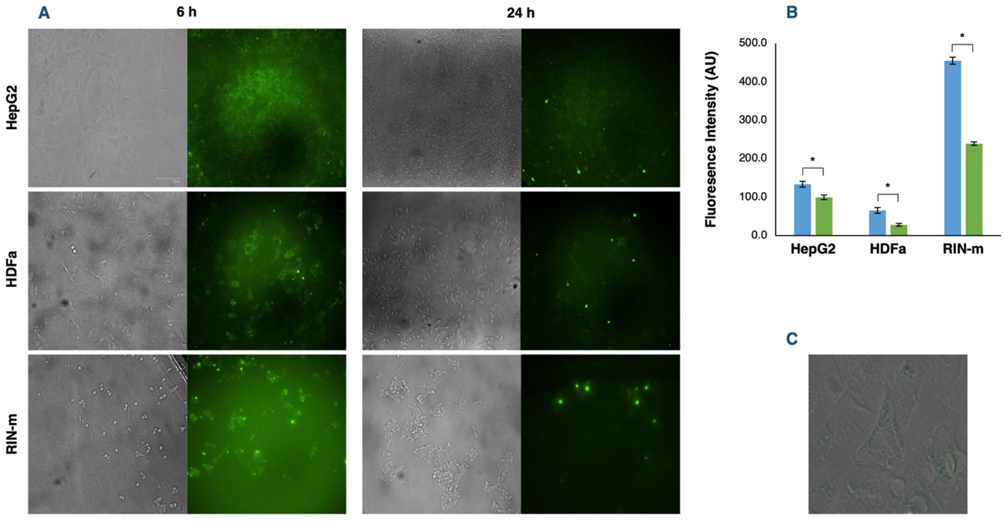 Pharmaceutics 13 01870 g004