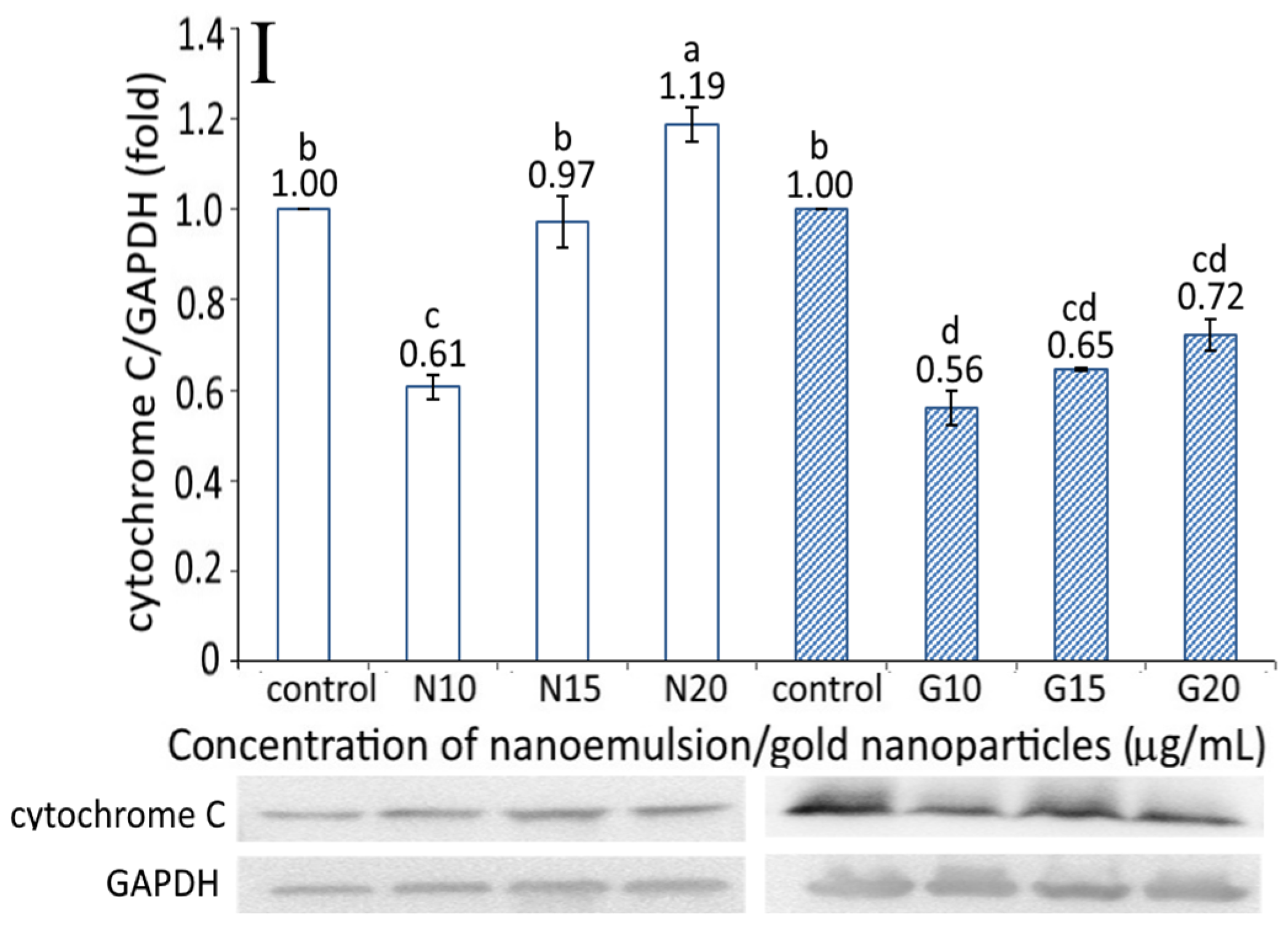 Pharmaceutics 13 01871 g006b