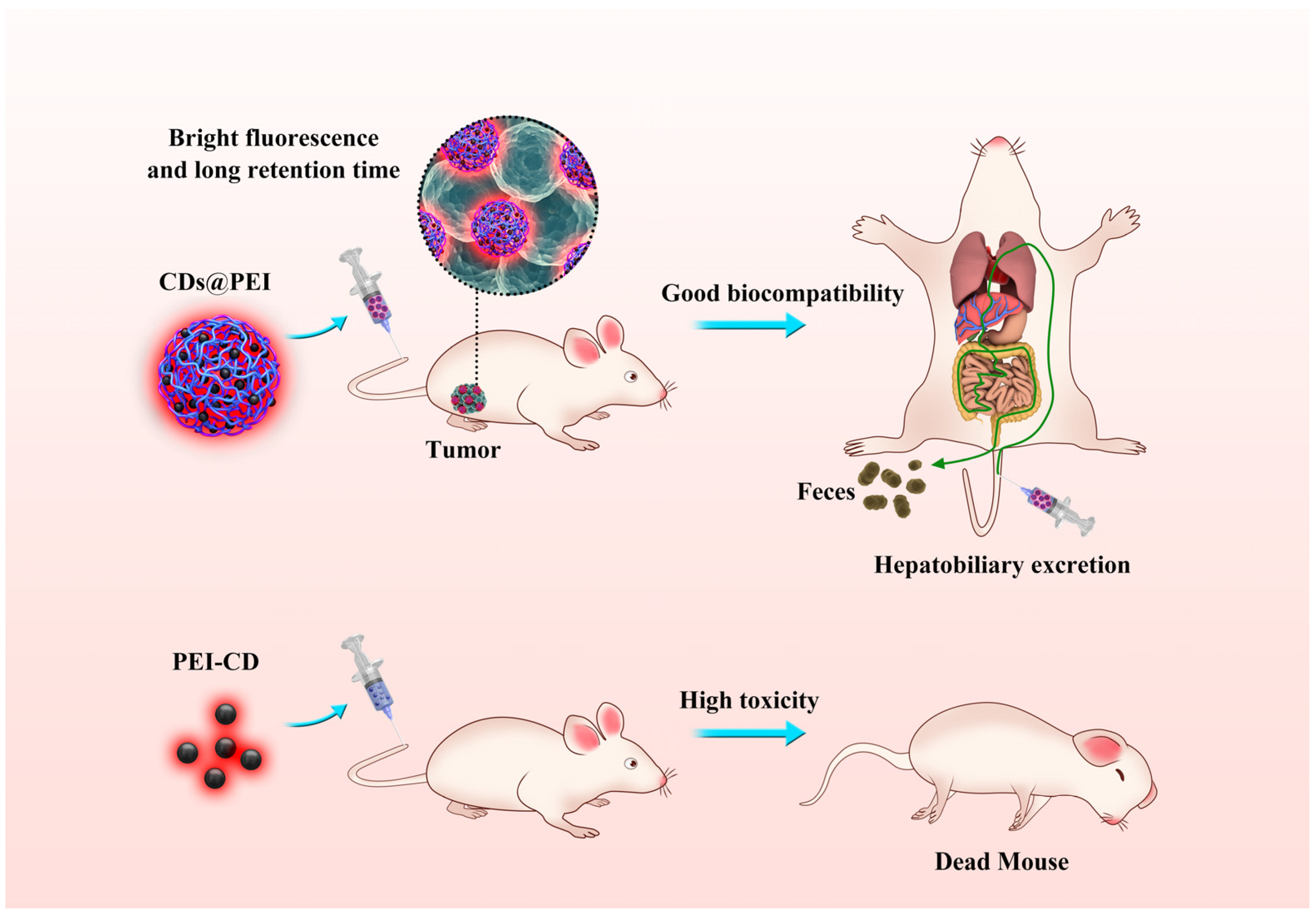 Pharmaceutics 13 01872 g001