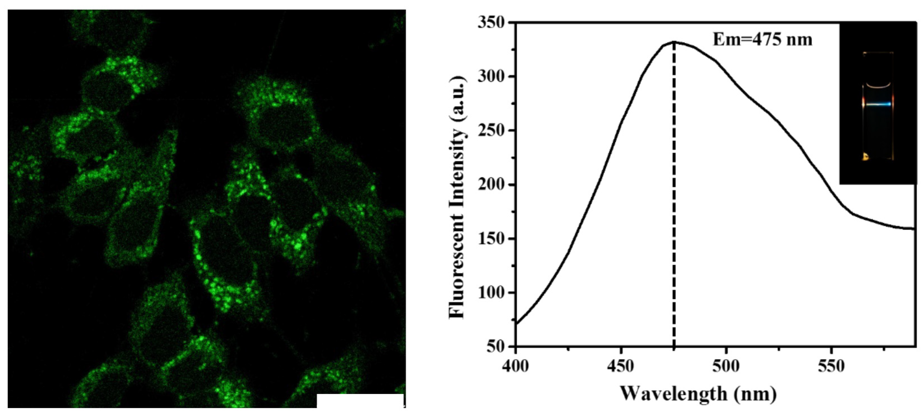 Pharmaceutics 13 01872 g005