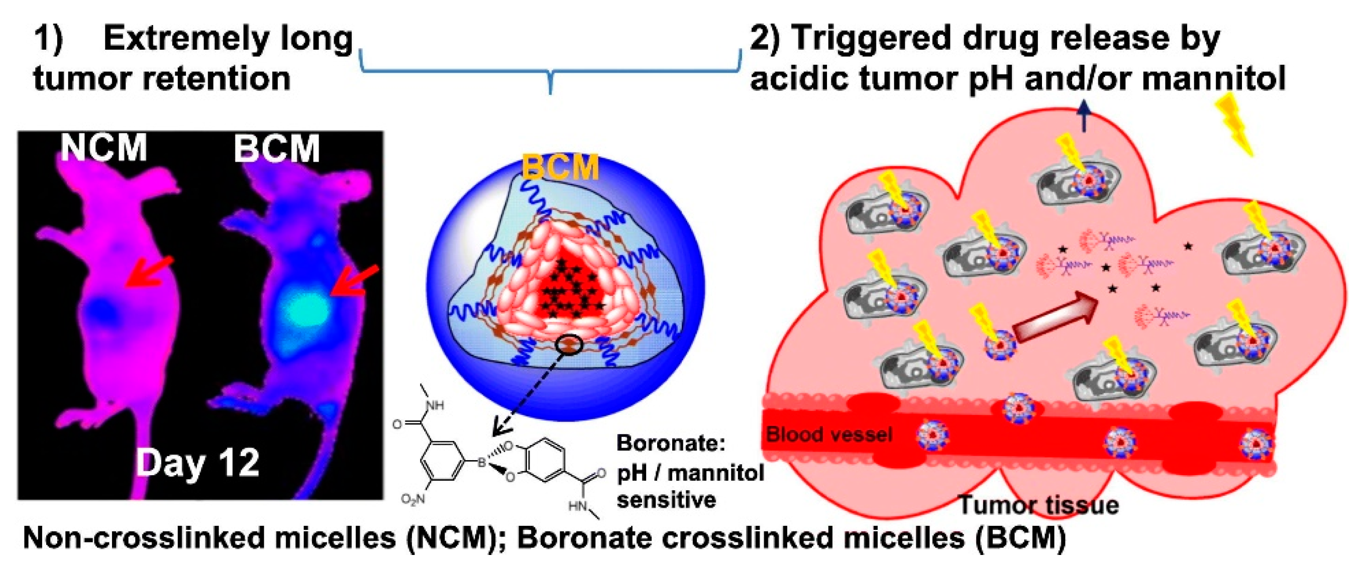 Pharmaceutics 13 01875 g003