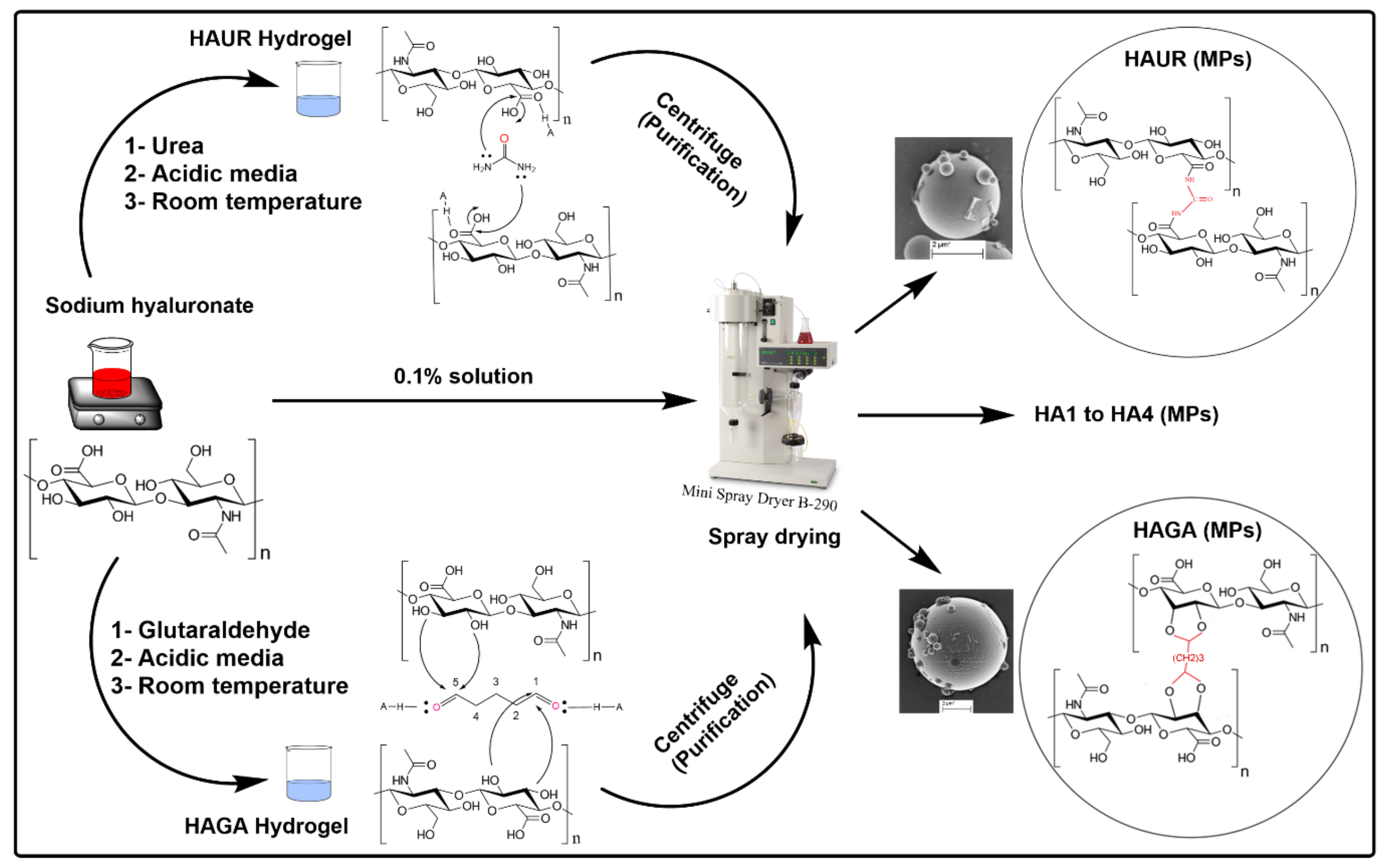 Pharmaceutics 13 01878 g001
