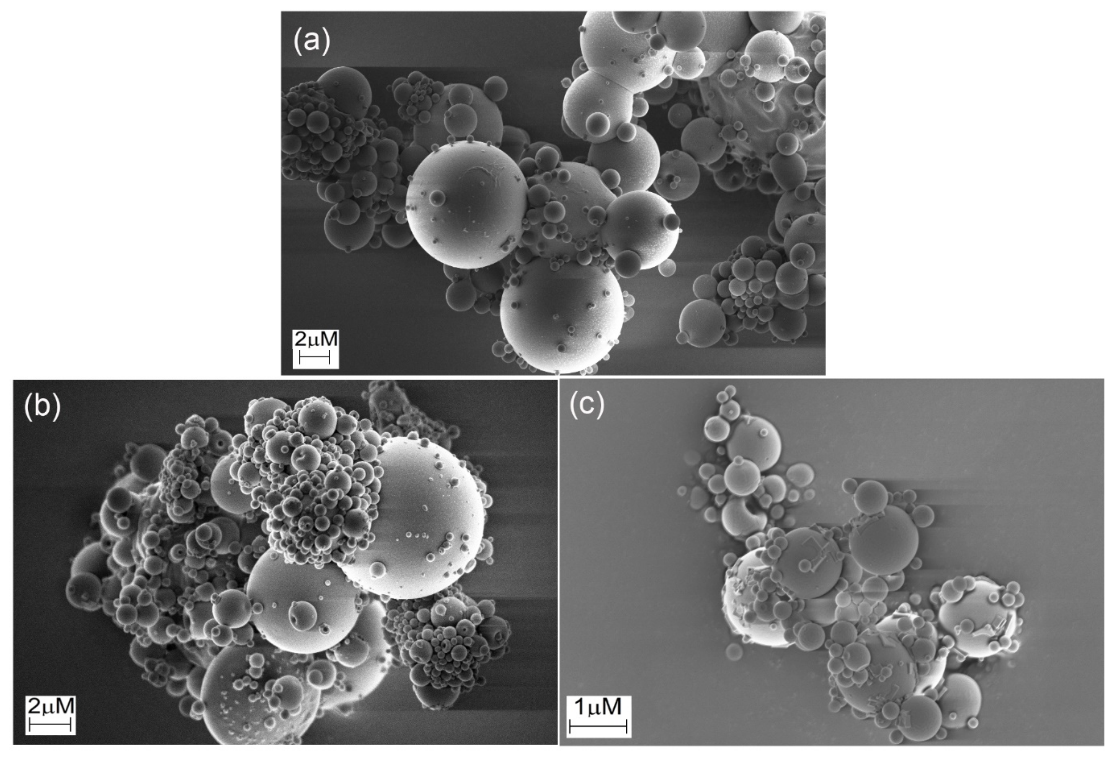 Pharmaceutics 13 01878 g005