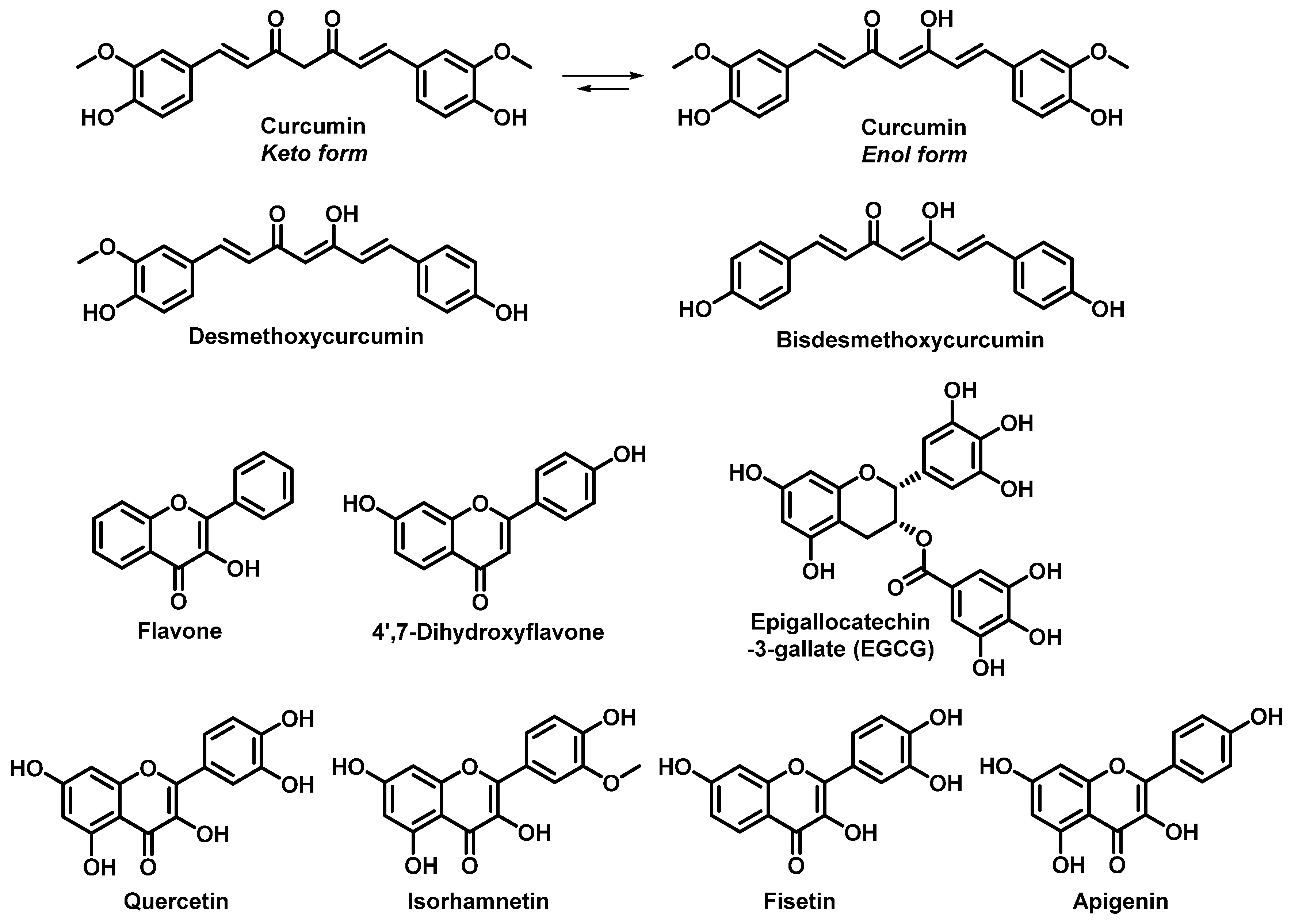Pharmaceutics 13 01879 g001