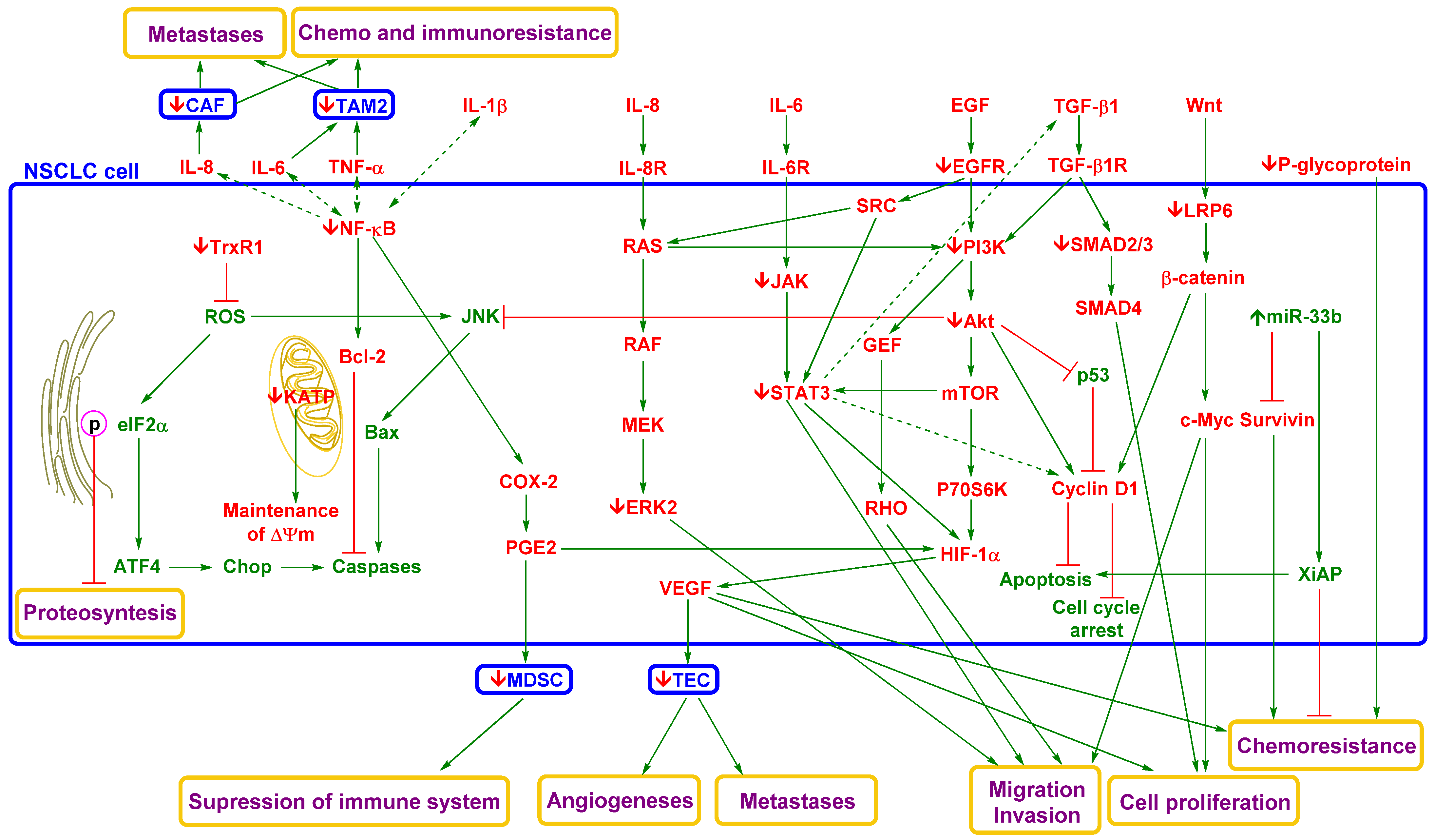 Pharmaceutics 13 01879 g004