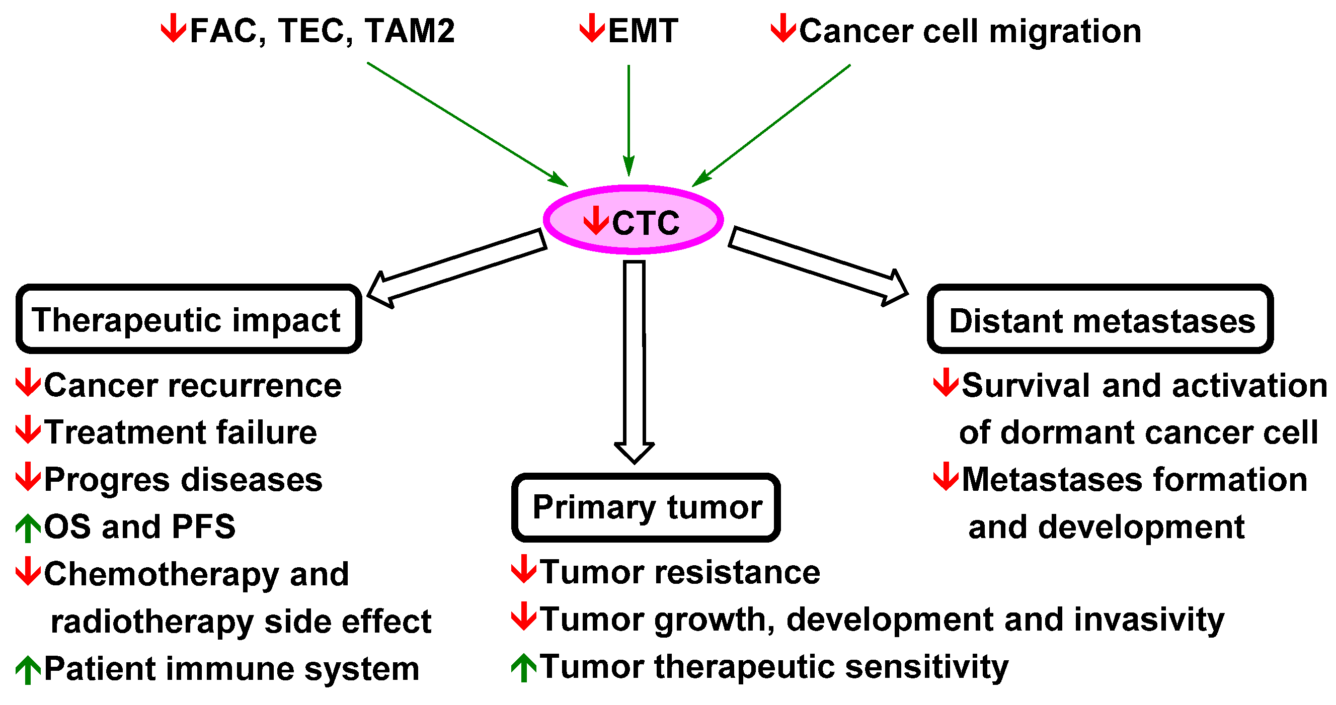 Pharmaceutics 13 01879 g005