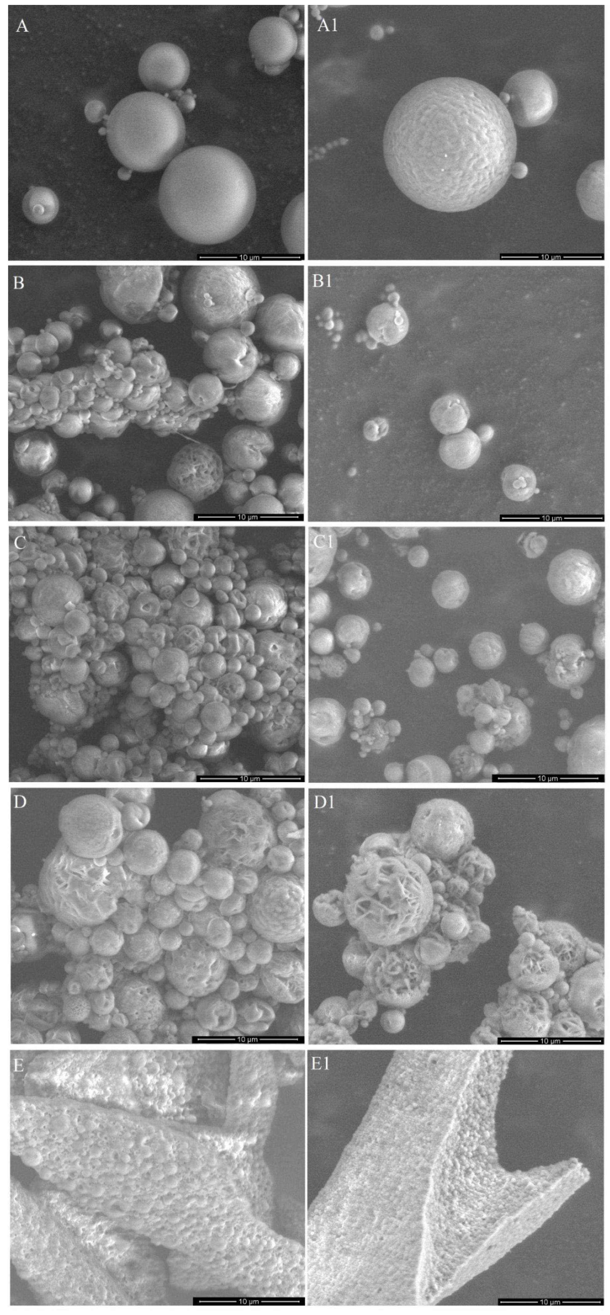 Pharmaceutics 13 01881 g001