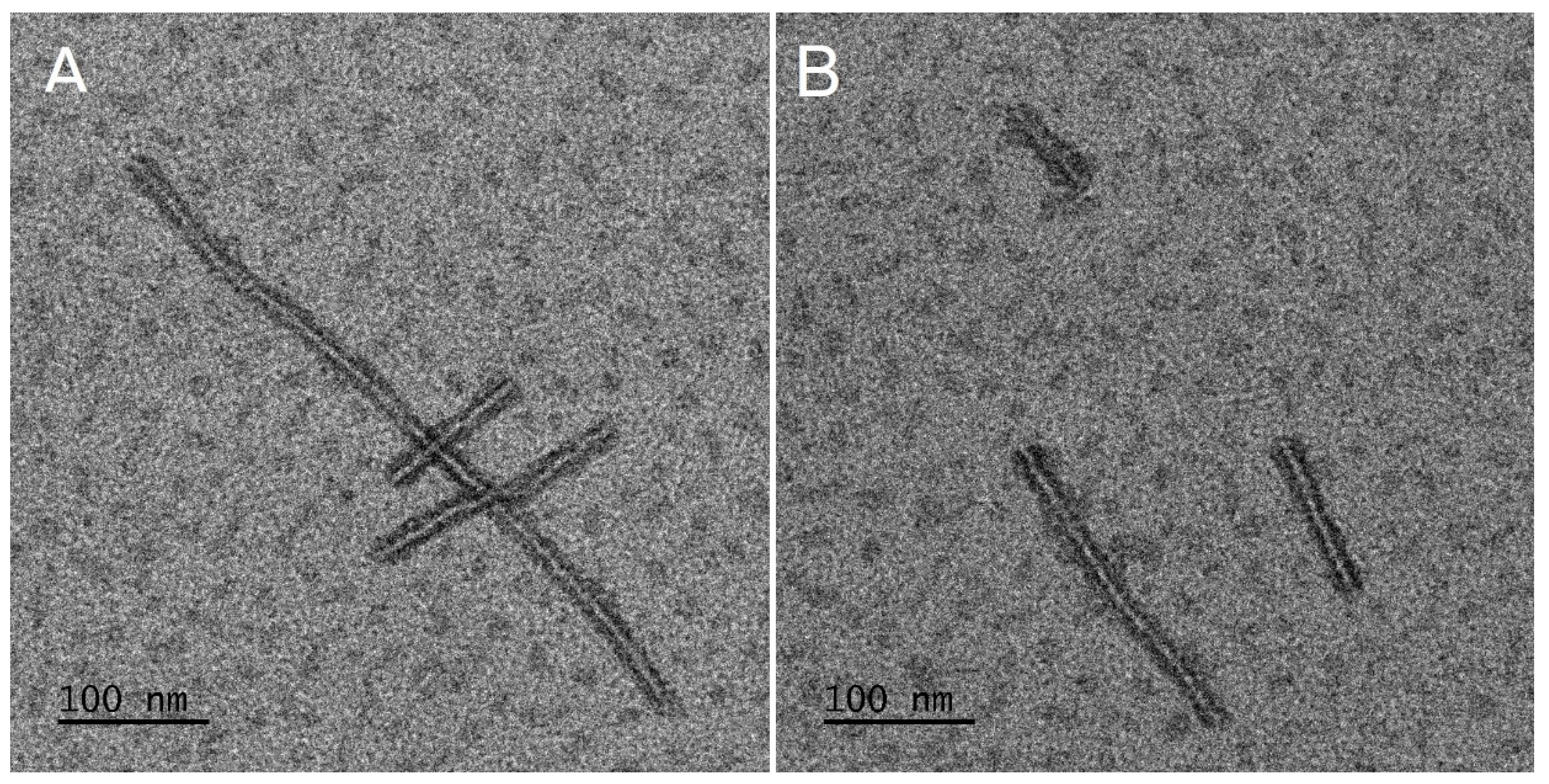 Pharmaceutics 13 01881 g002
