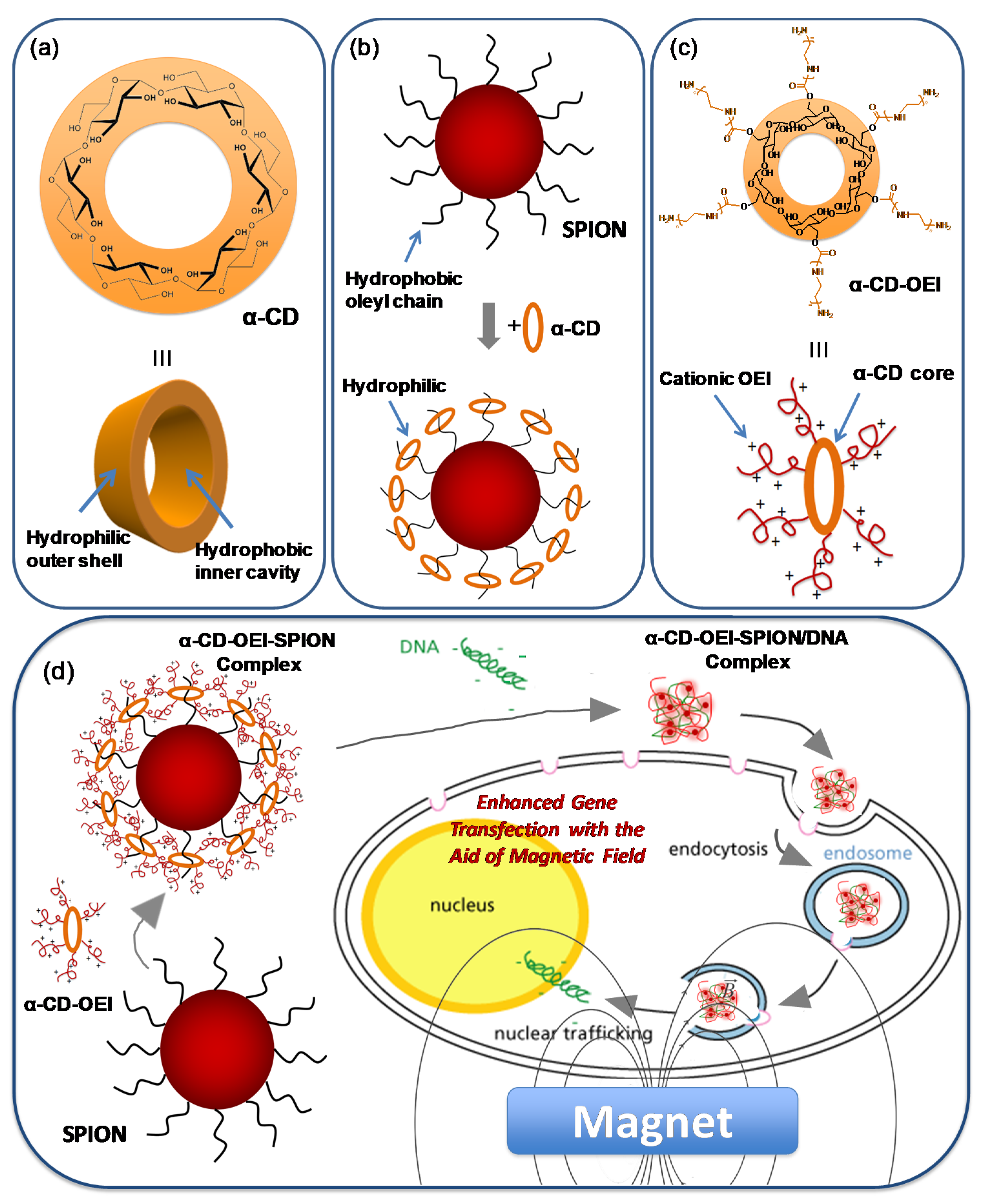 Pharmaceutics 13 01884 g001