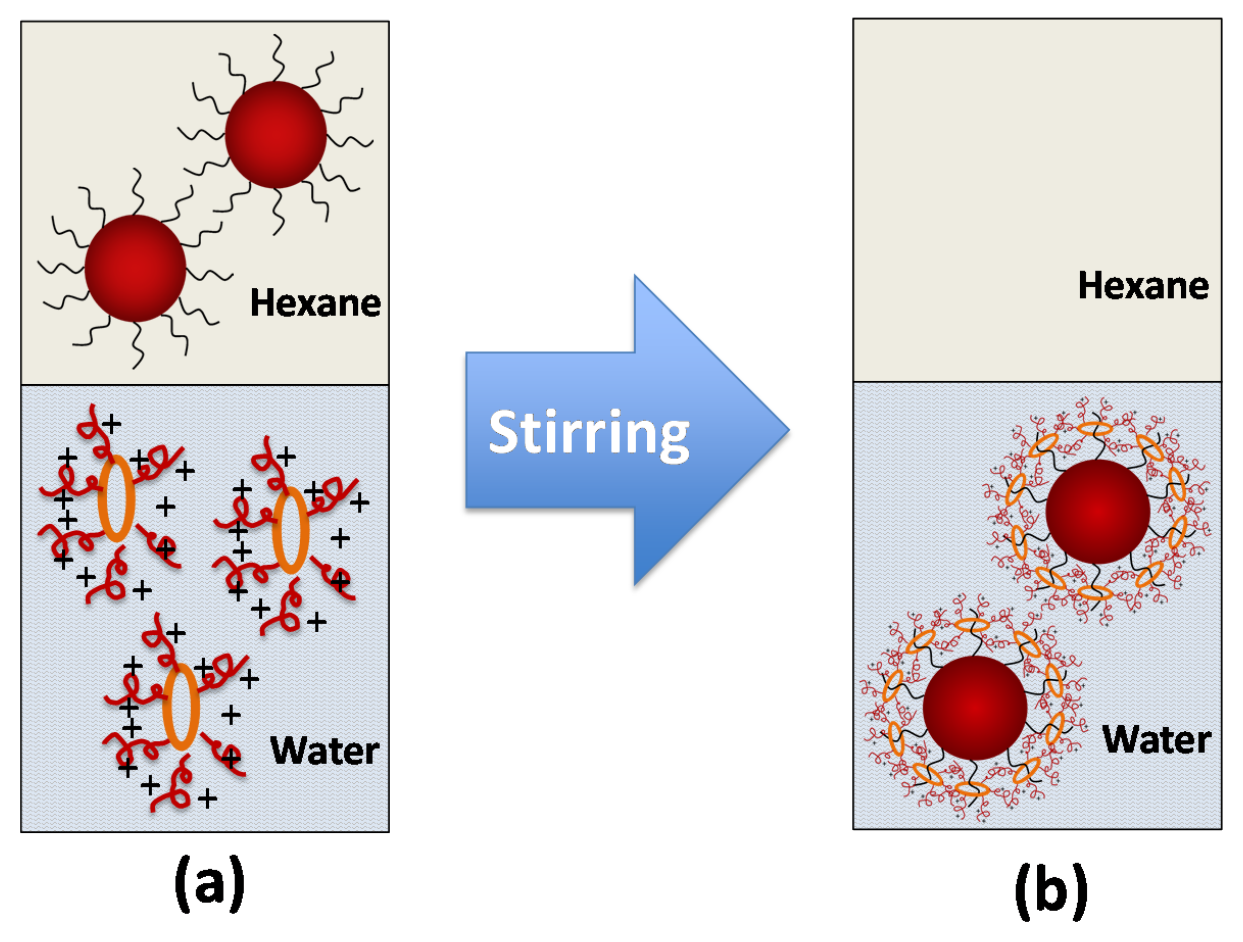 Pharmaceutics 13 01884 g003