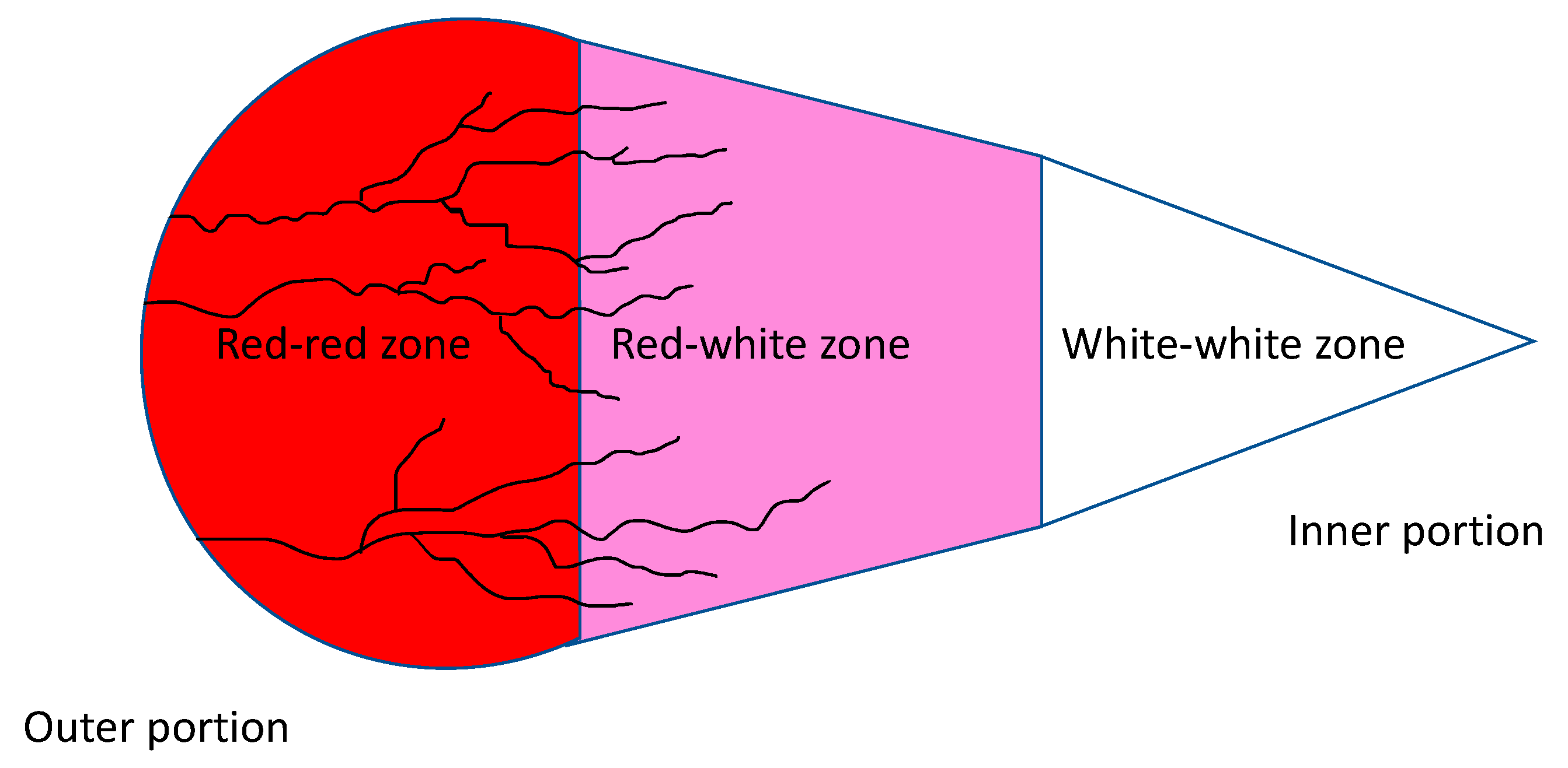 Pharmaceutics 13 01886 g002