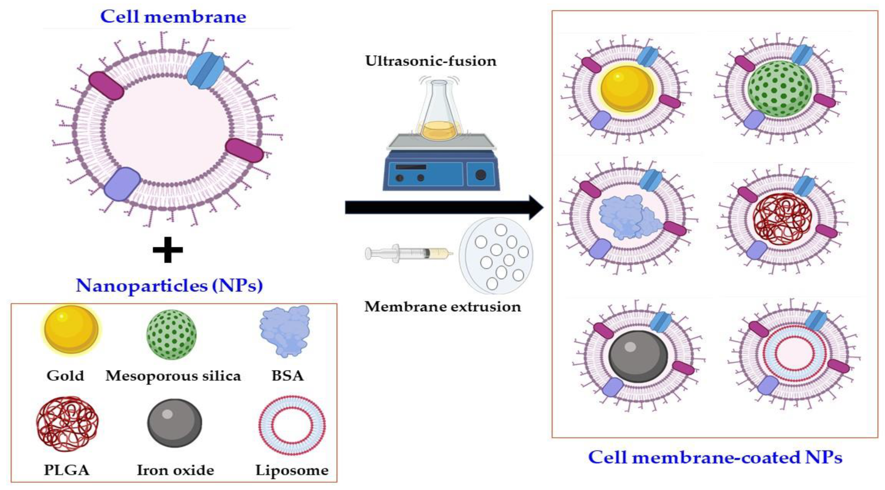 Pharmaceutics 13 01887 g002