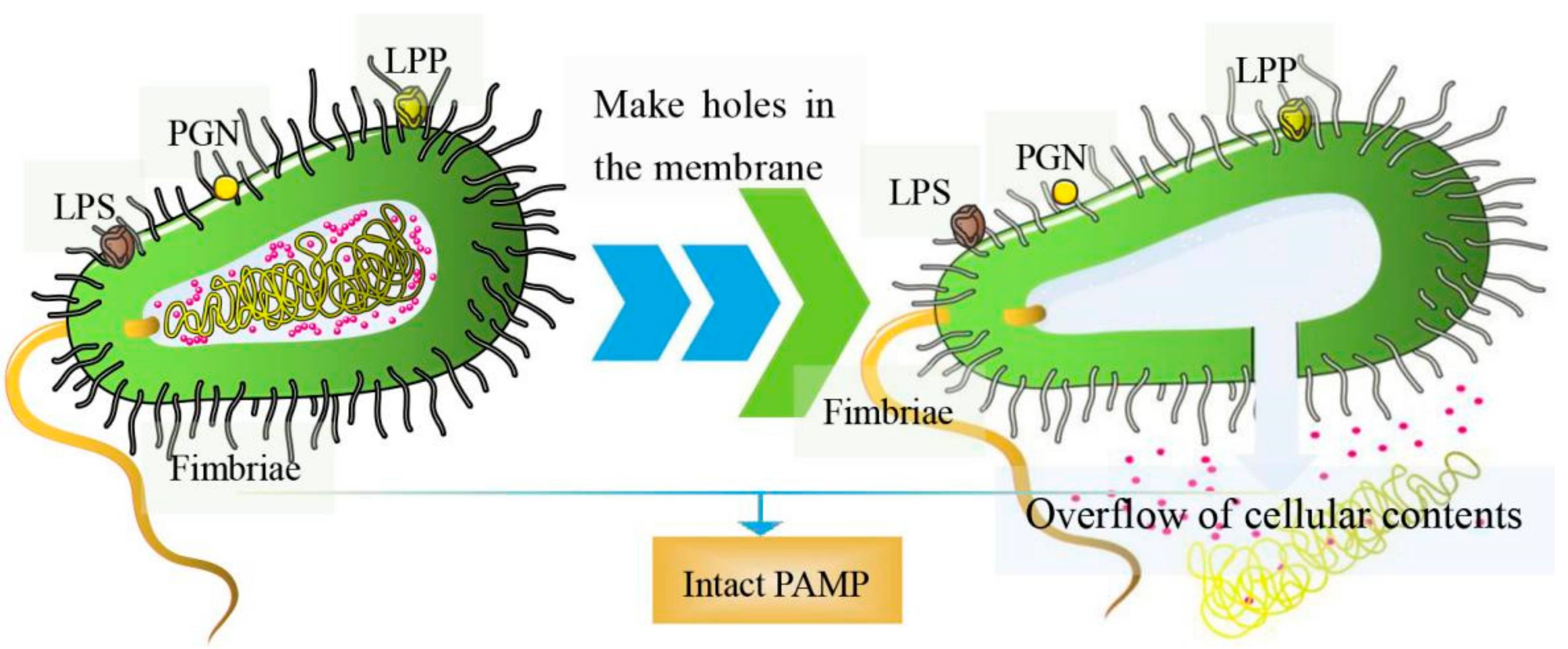 Pharmaceutics 13 01892 g001