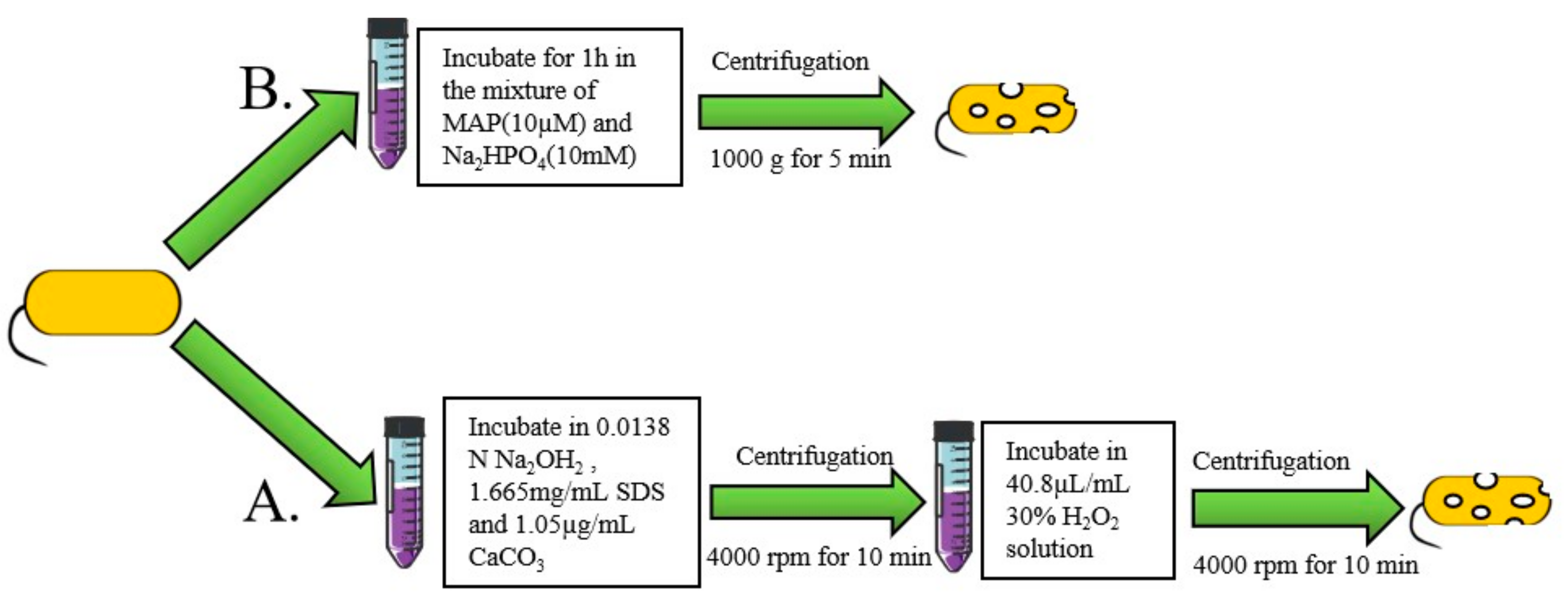 Pharmaceutics 13 01892 g003