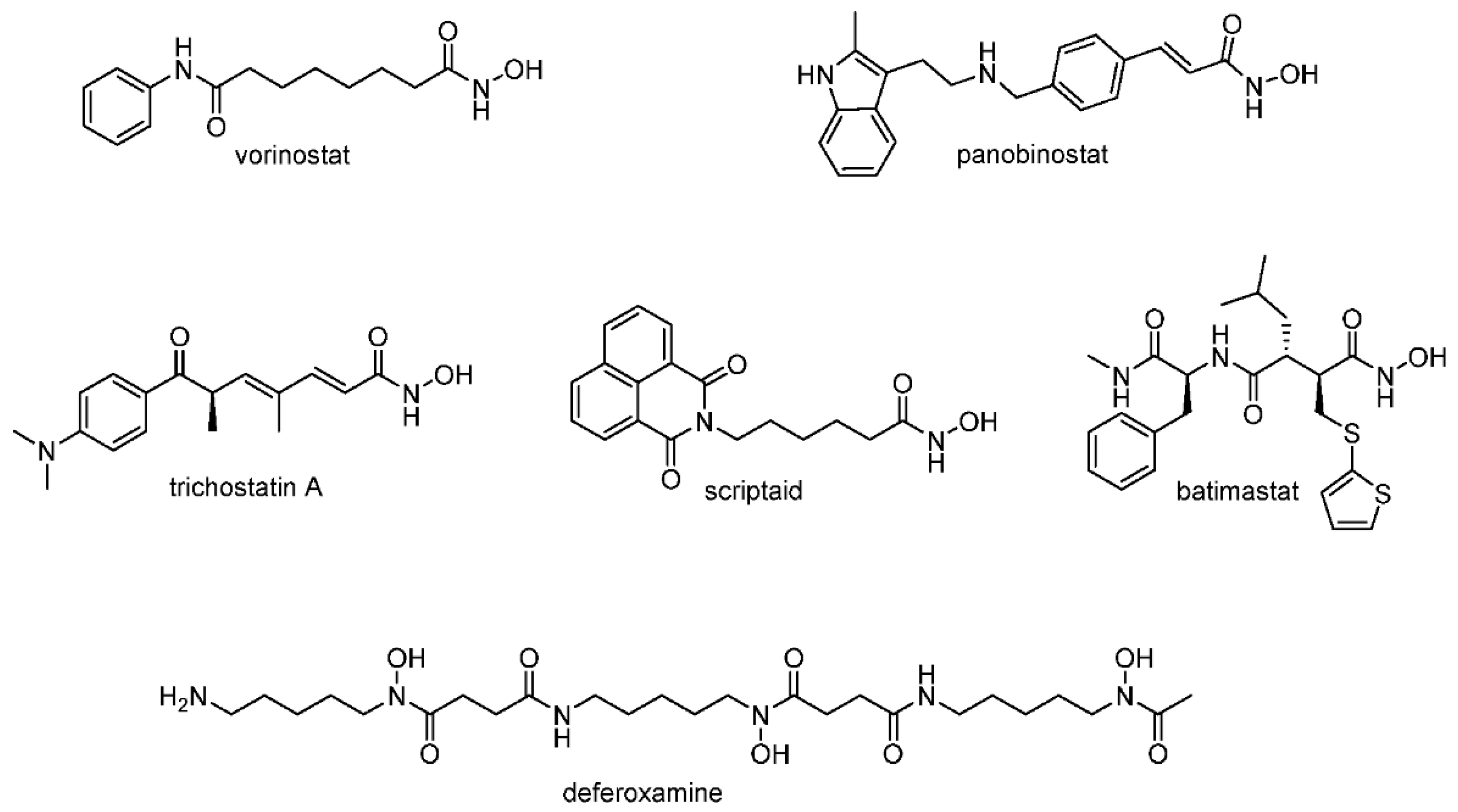 Pharmaceutics 13 01893 g001