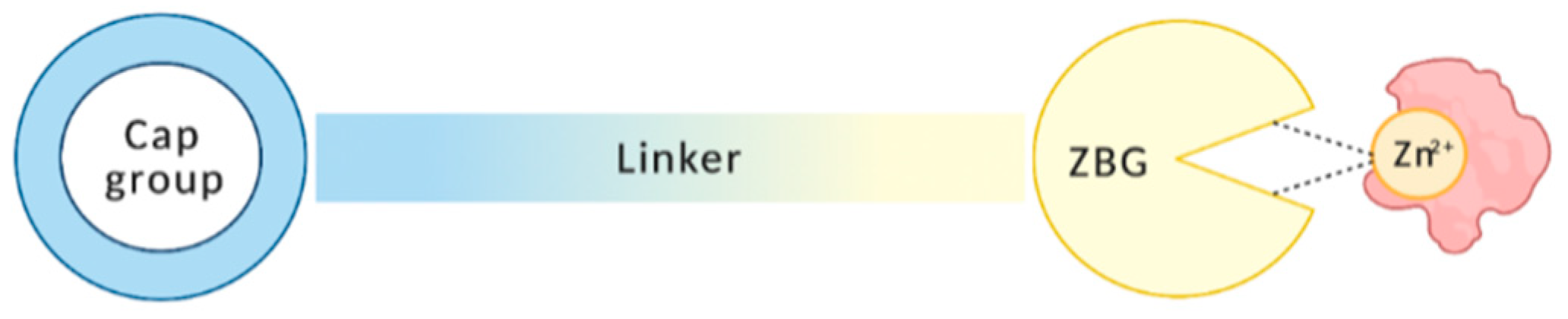 Pharmaceutics 13 01893 g002