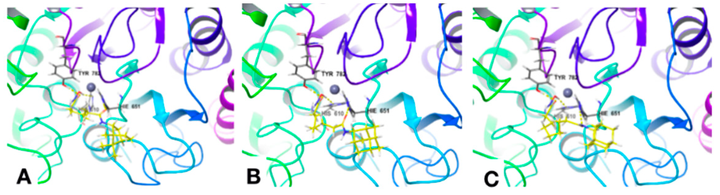 Pharmaceutics 13 01893 g003