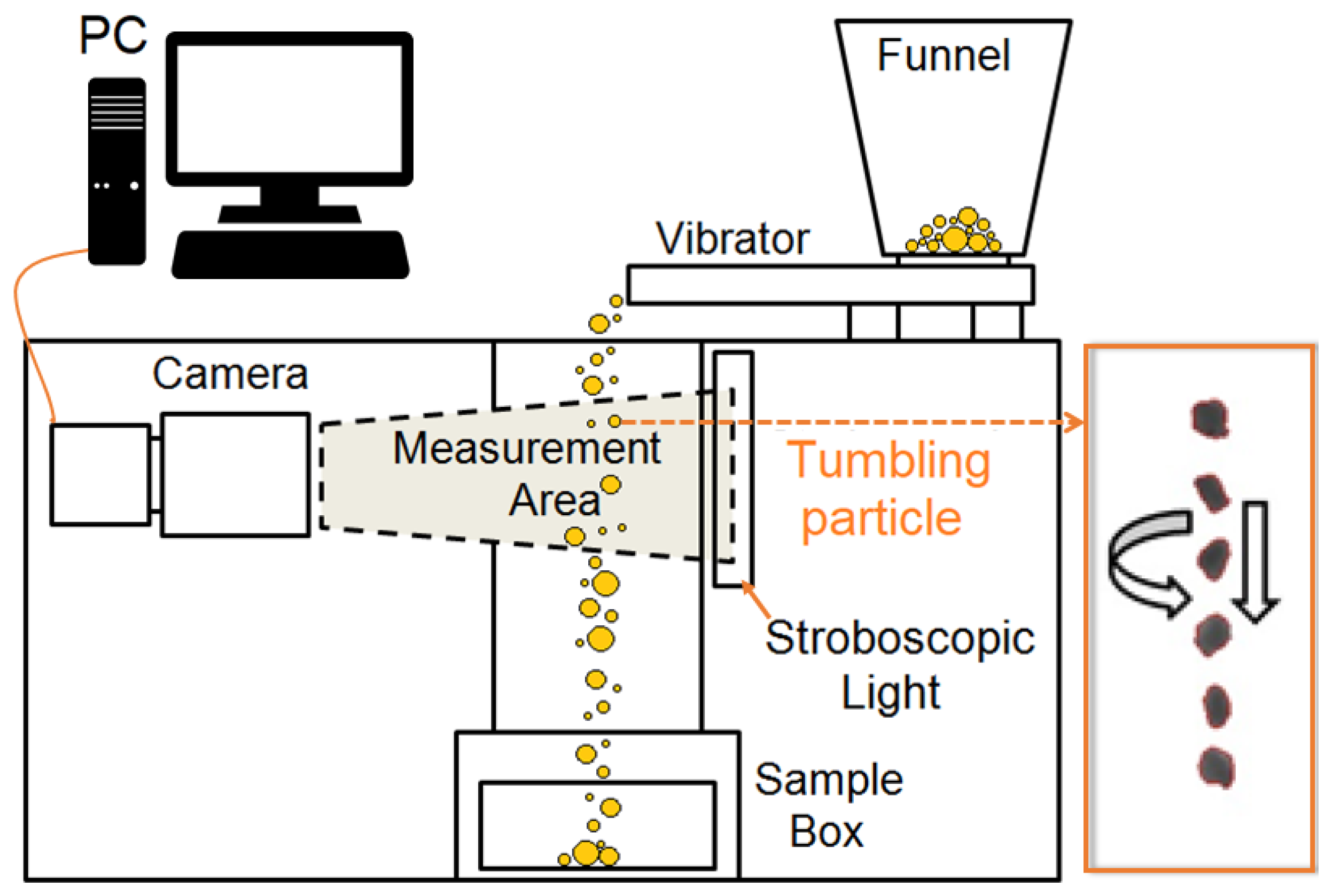 Pharmaceutics 13 01894 g001