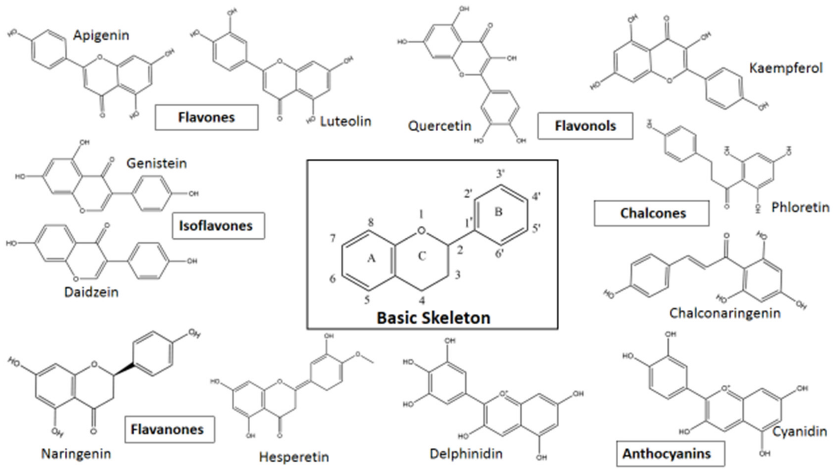 Pharmaceutics 13 01895 g002