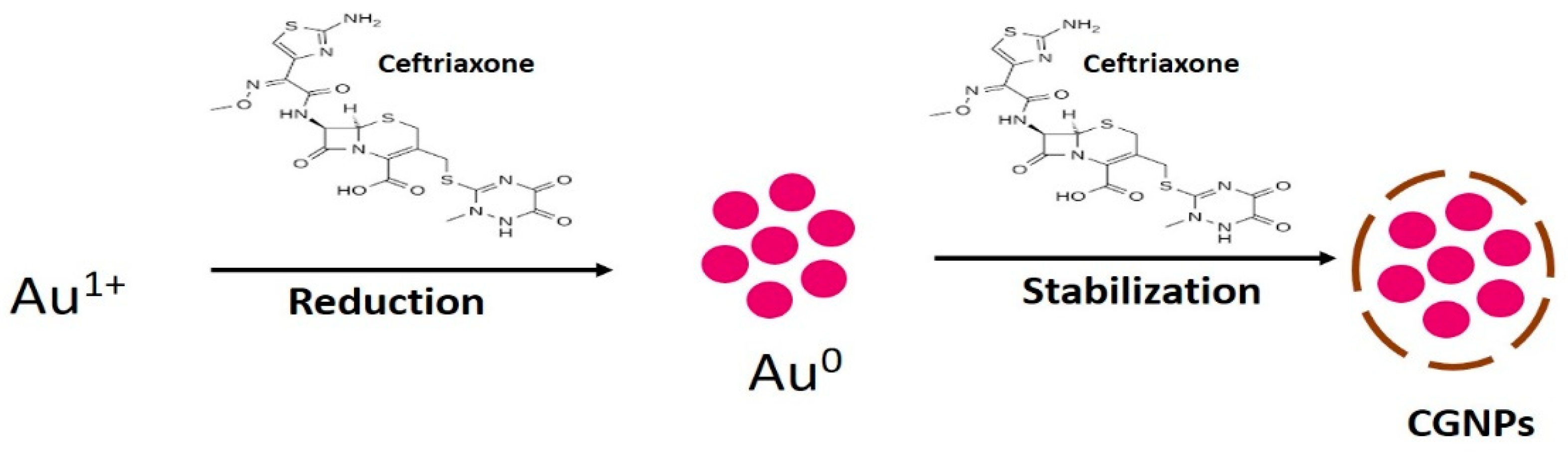 Pharmaceutics 13 01896 g001